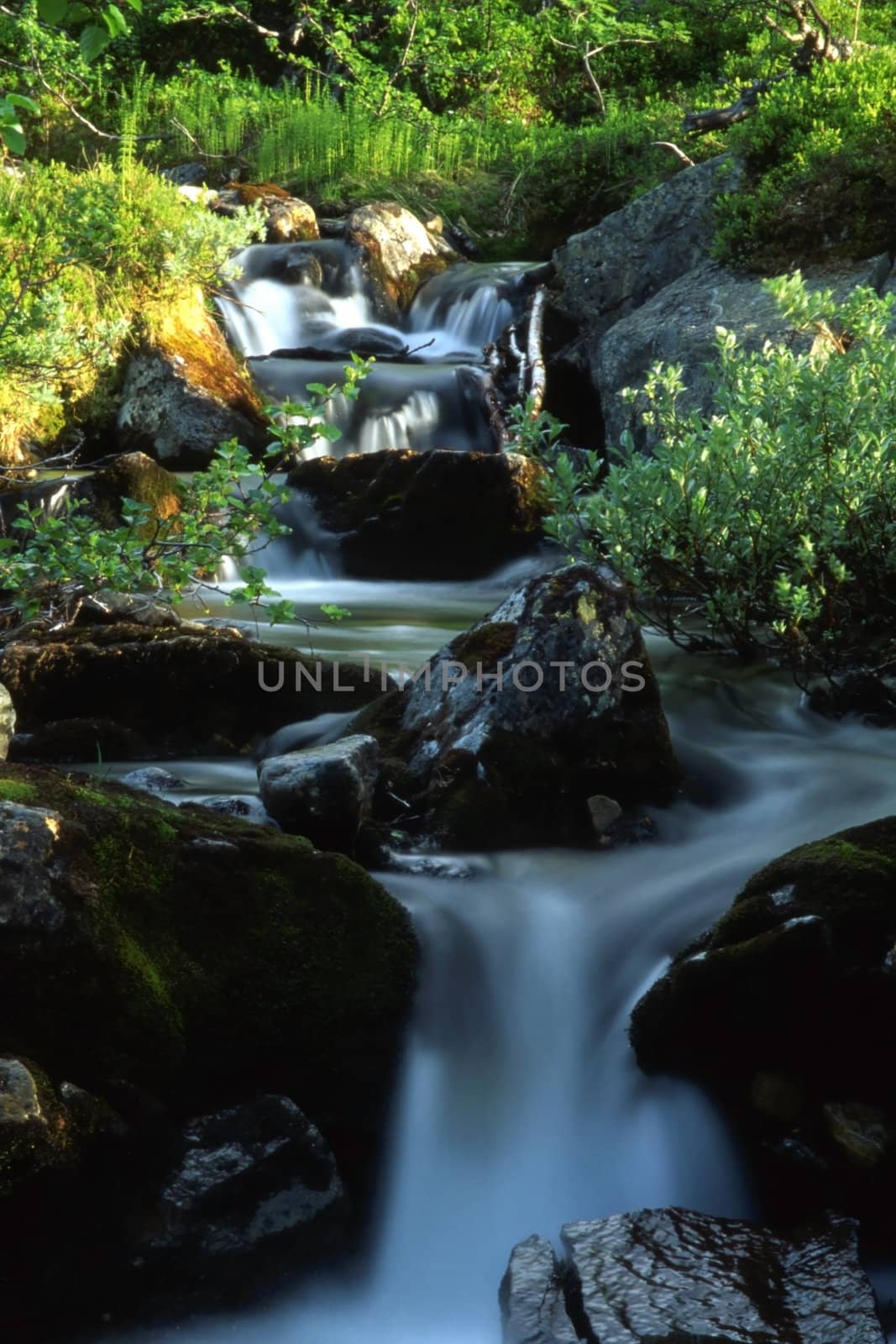 Beautiful stream in mountain with colourful trees and grass