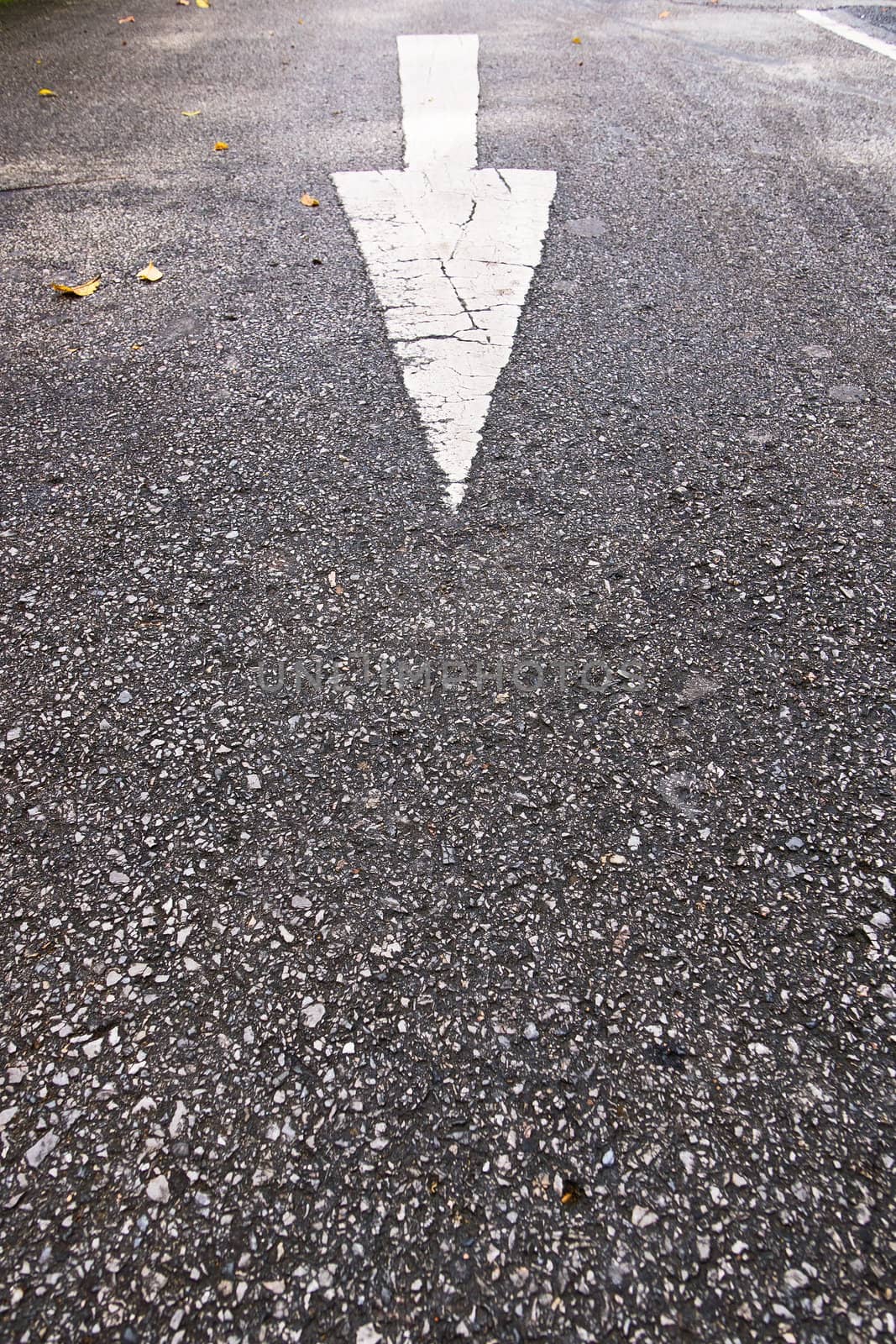 White arrow on the gray asphalt, road sign