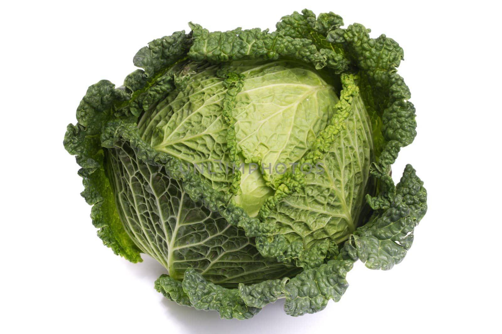 Close up view of a fresh savoy cabbage vegetable isolated on a white background.
