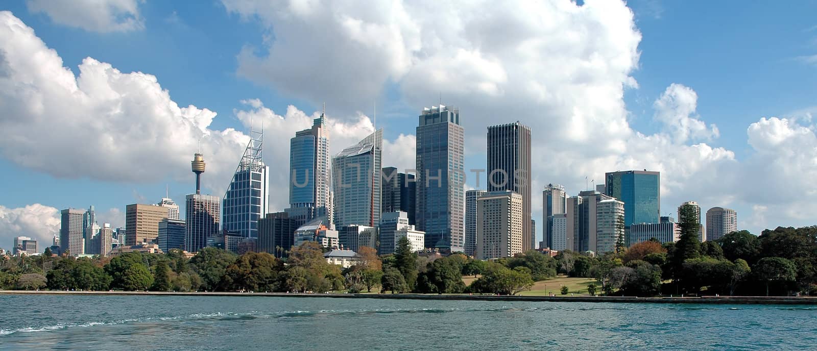 sydney cbd panorama, royal botanic gardens in foreground, photo taken from a ferry