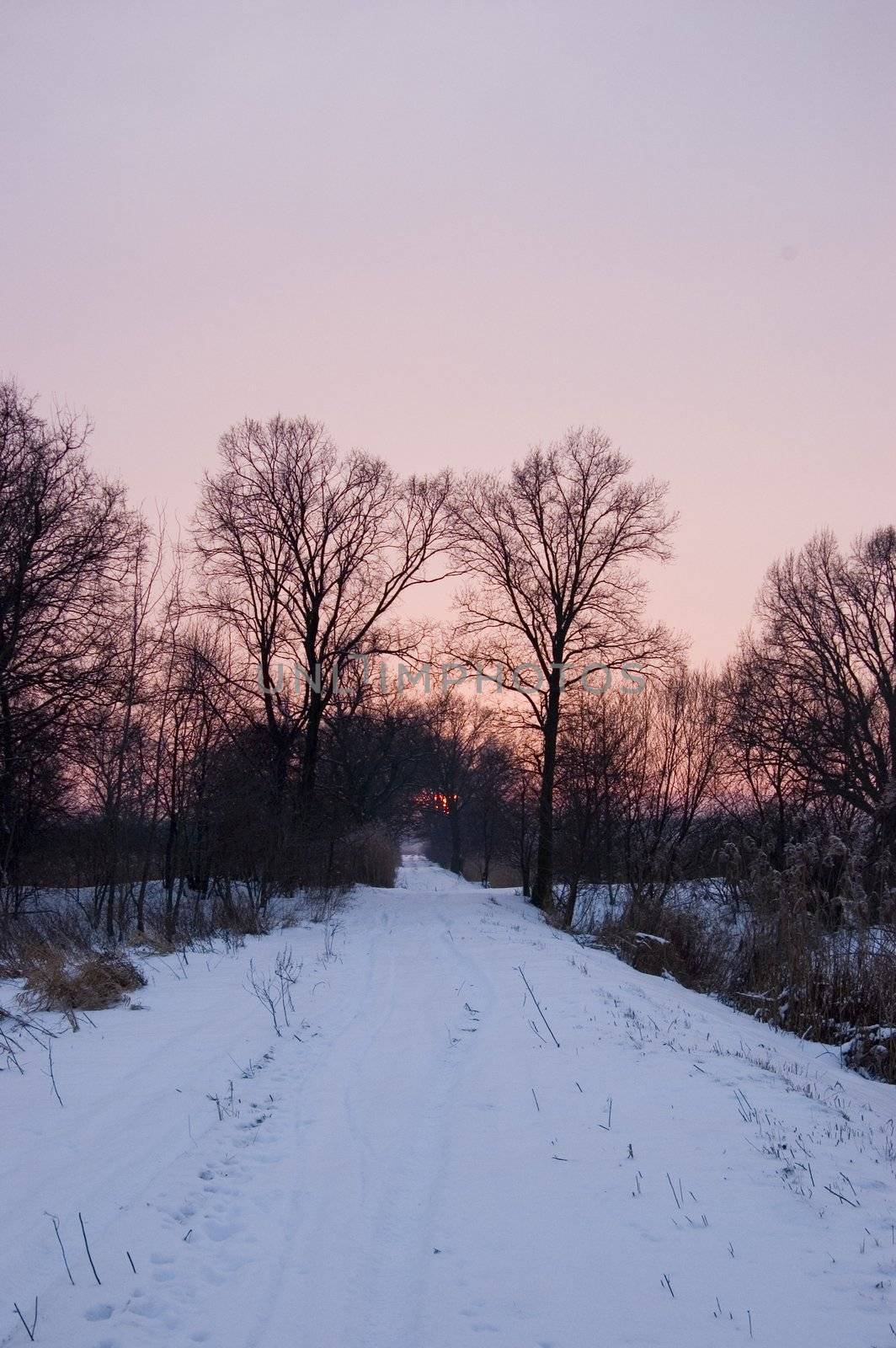 Winter landscape in Poland. Meadows and trees covered with snow, just before sunset.