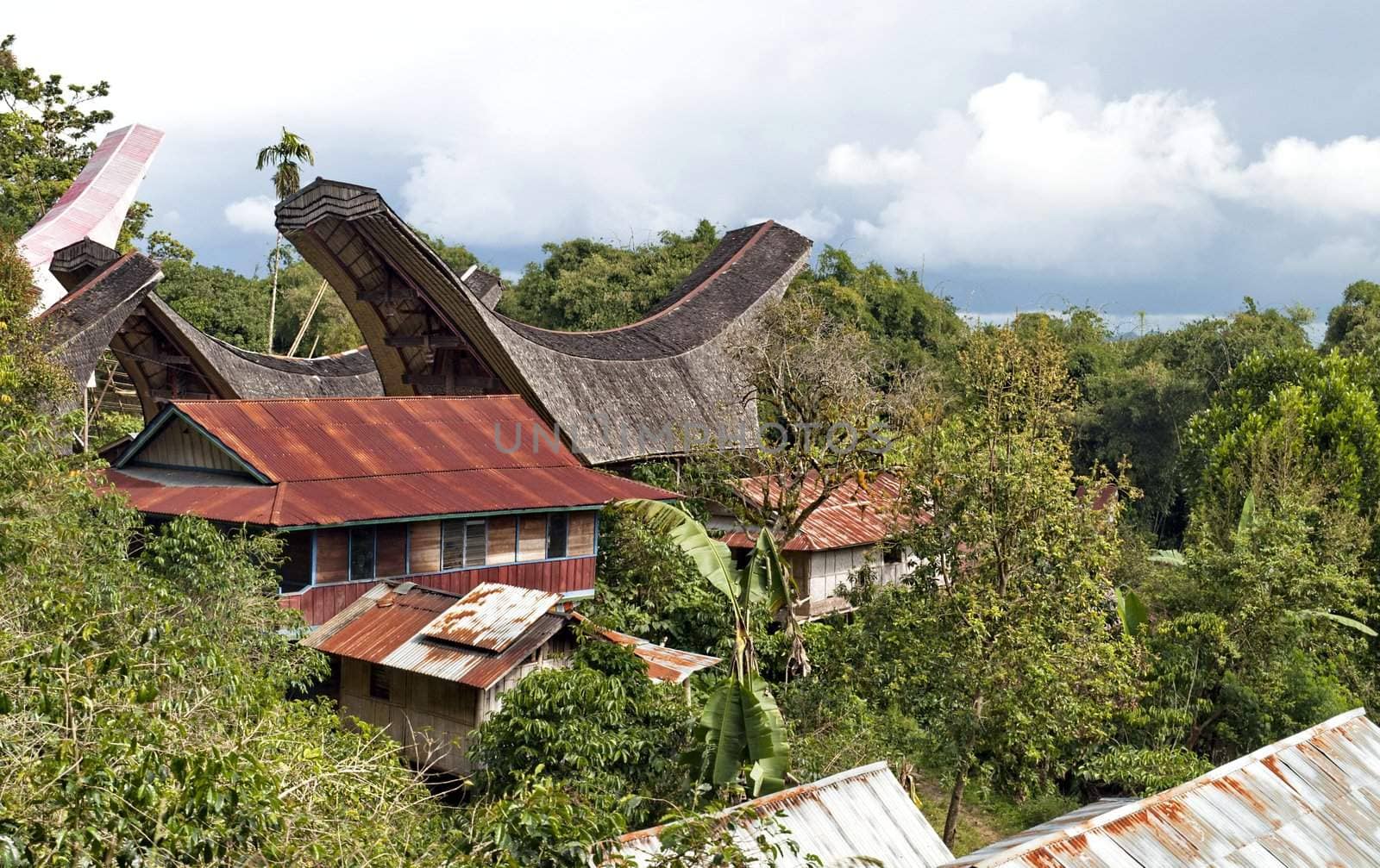 Toraja Traditional Village by rigamondis