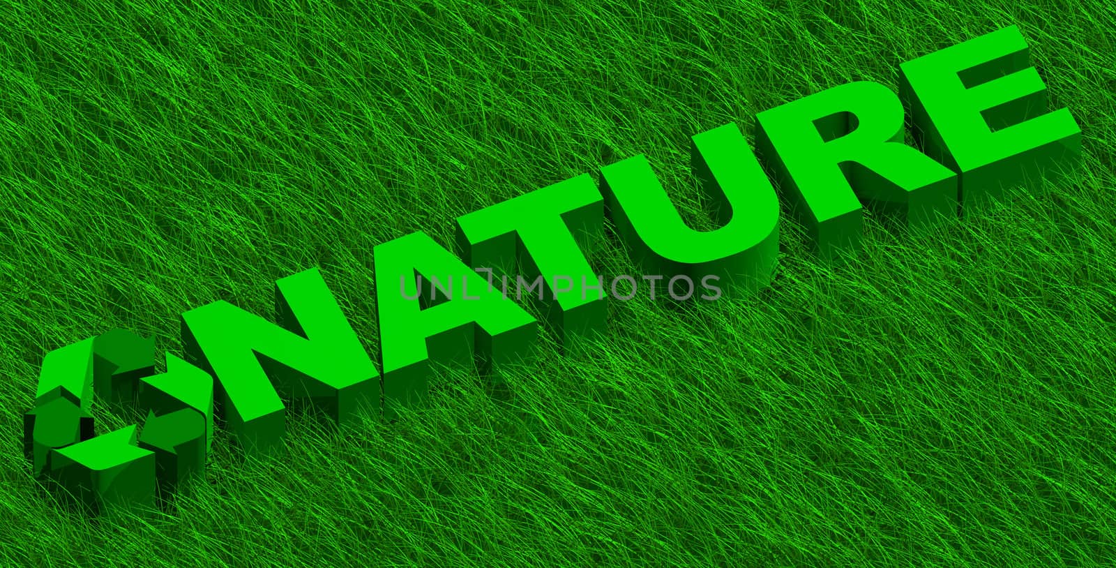 3D illustration of nature word over green grass