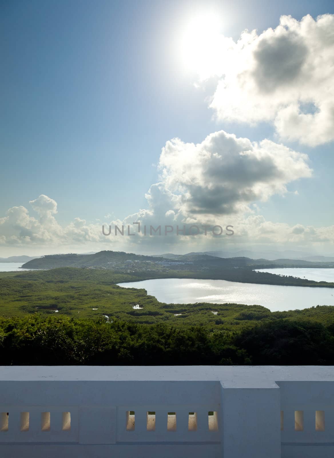 View across a lagoon towards El Yunque across with the distant rain falling on the rain forest