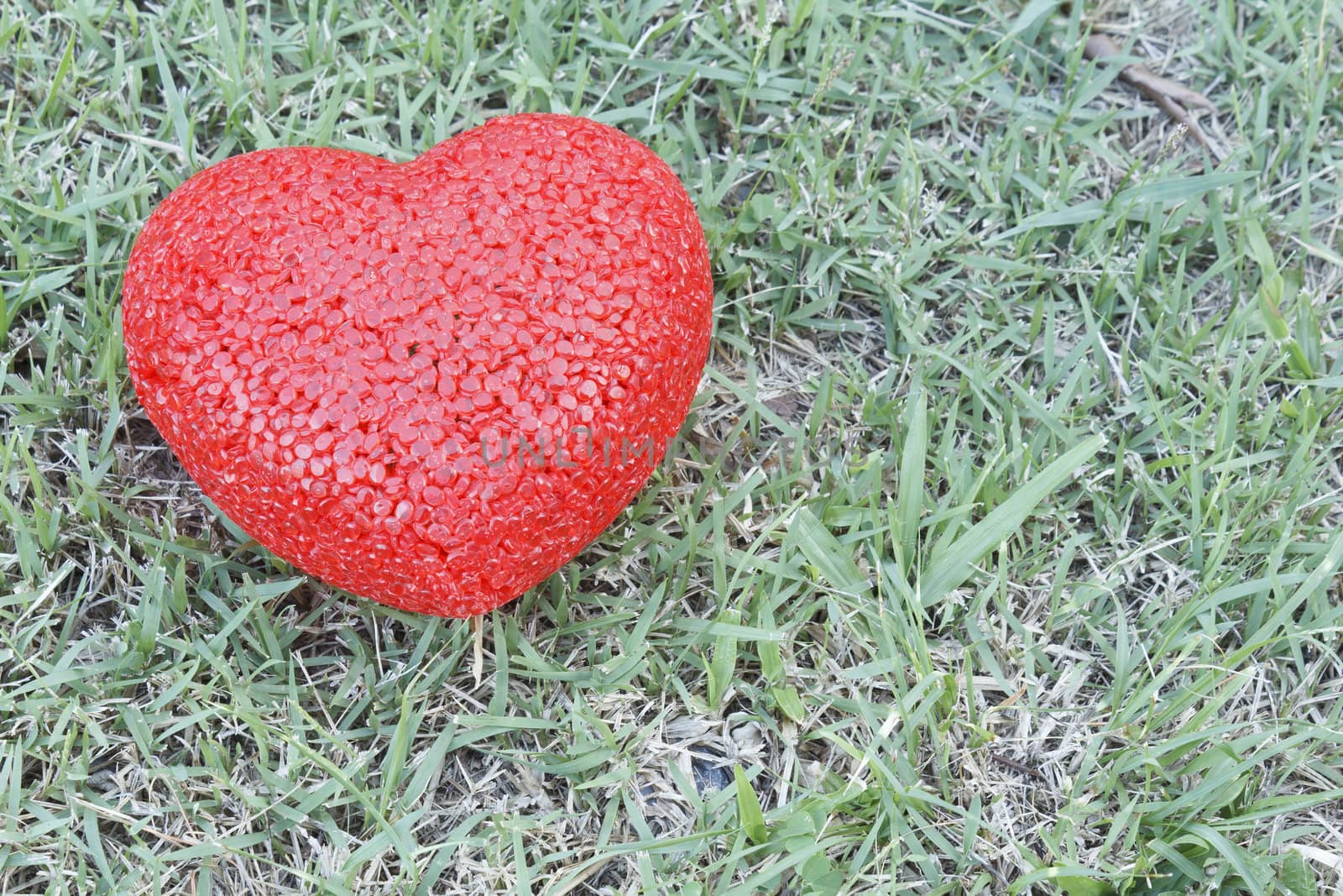 Plastic red heart shape on nature green grass background