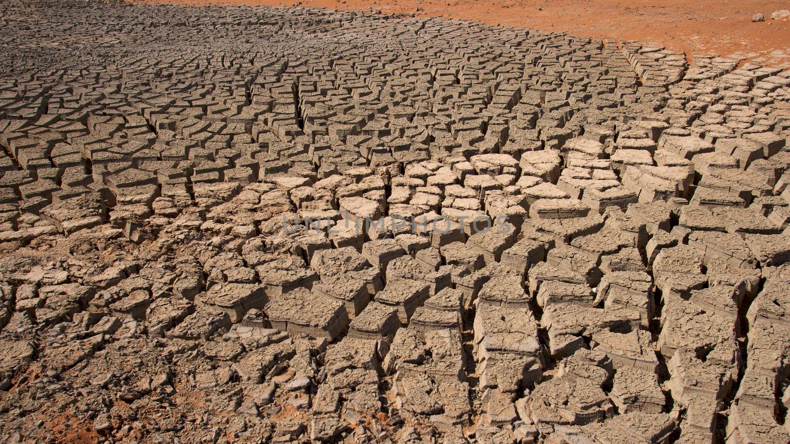Cracked Mud Abstract by zambezi