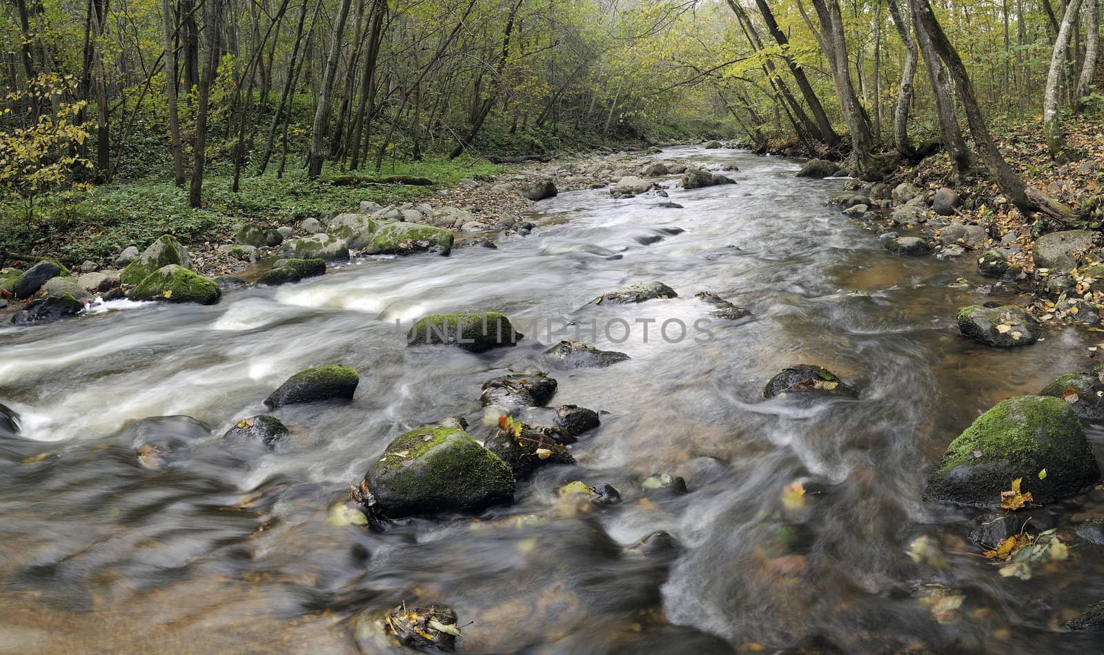 Panorama of a wild river, autumn in a Neris park of a Lithuania