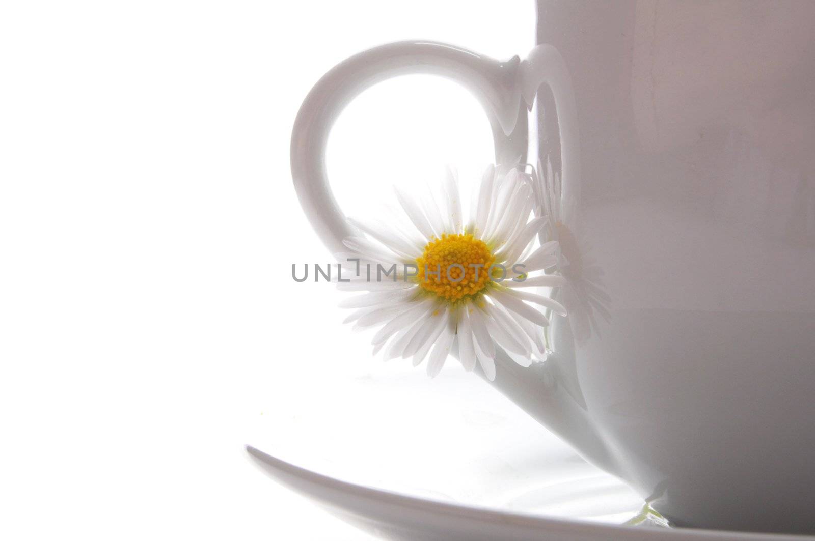 cup of tea or coffee with leaf and white copyspace