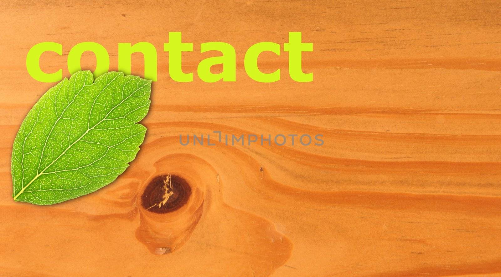 contact us concept with word on nature still life