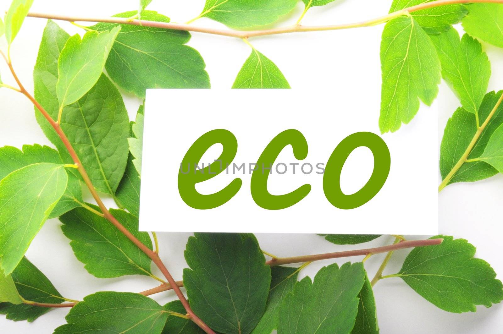 eco concept with word on nature still life