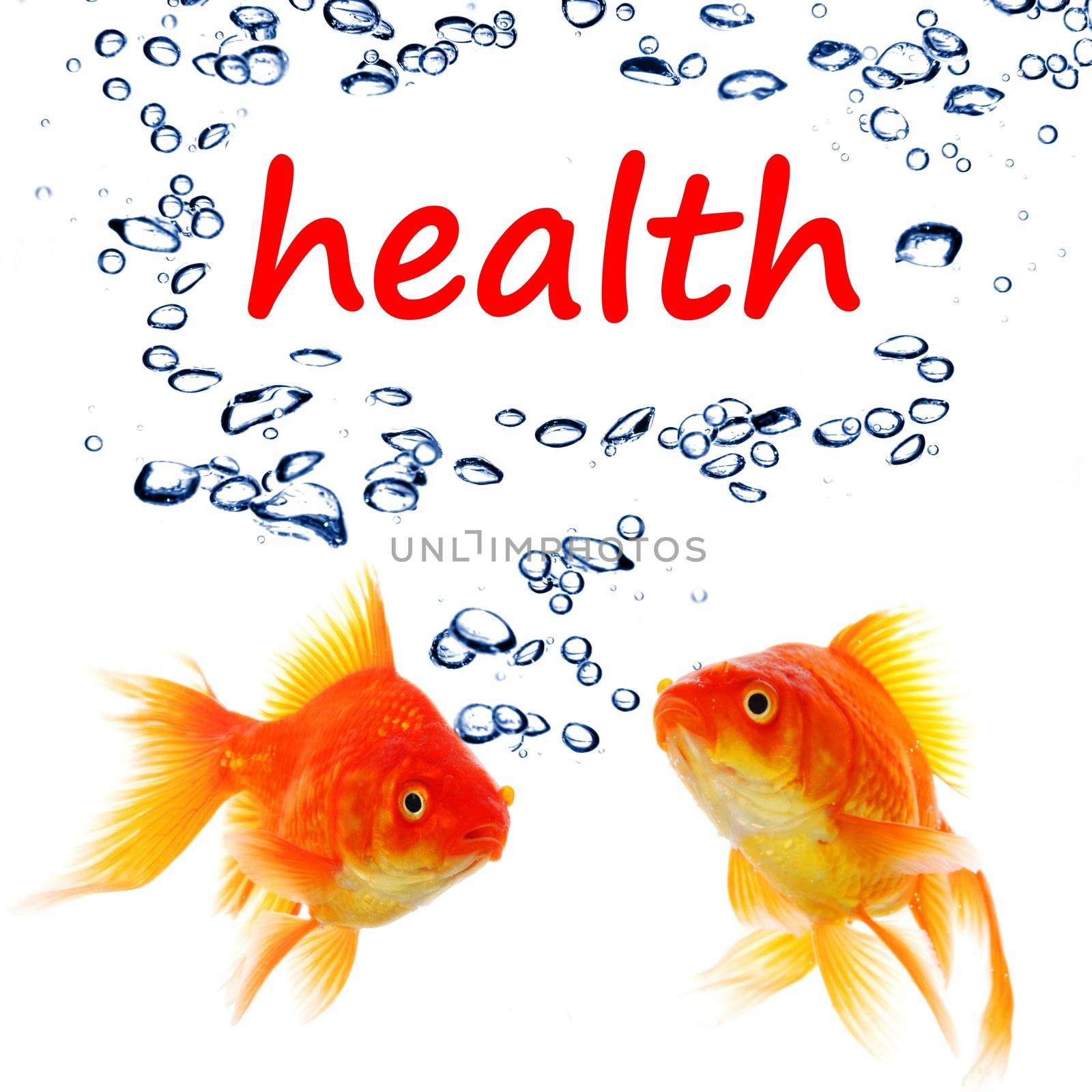 word health and goldfish showing spa or healthy lifestyle concept