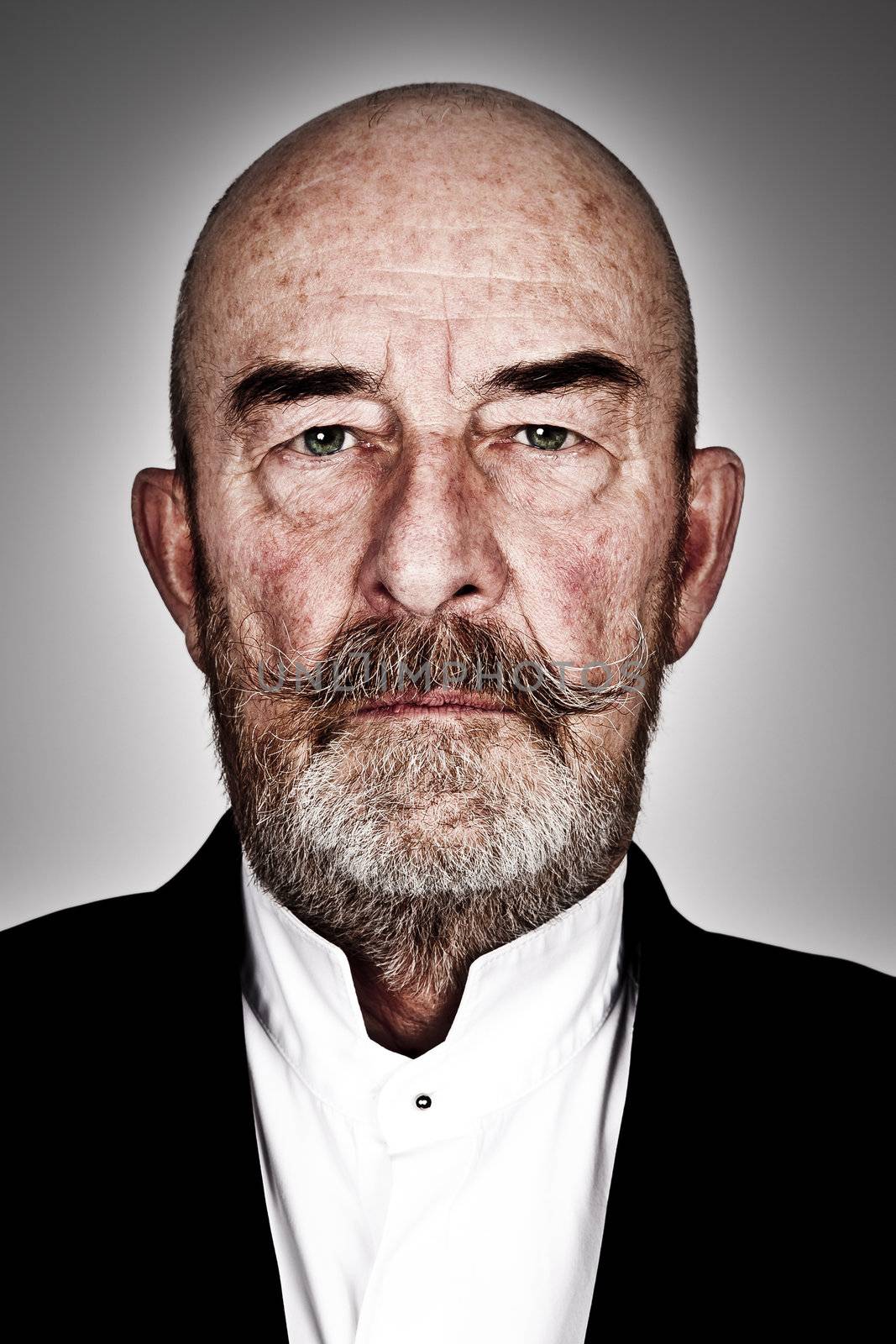 strange old man with a grey beard - high details