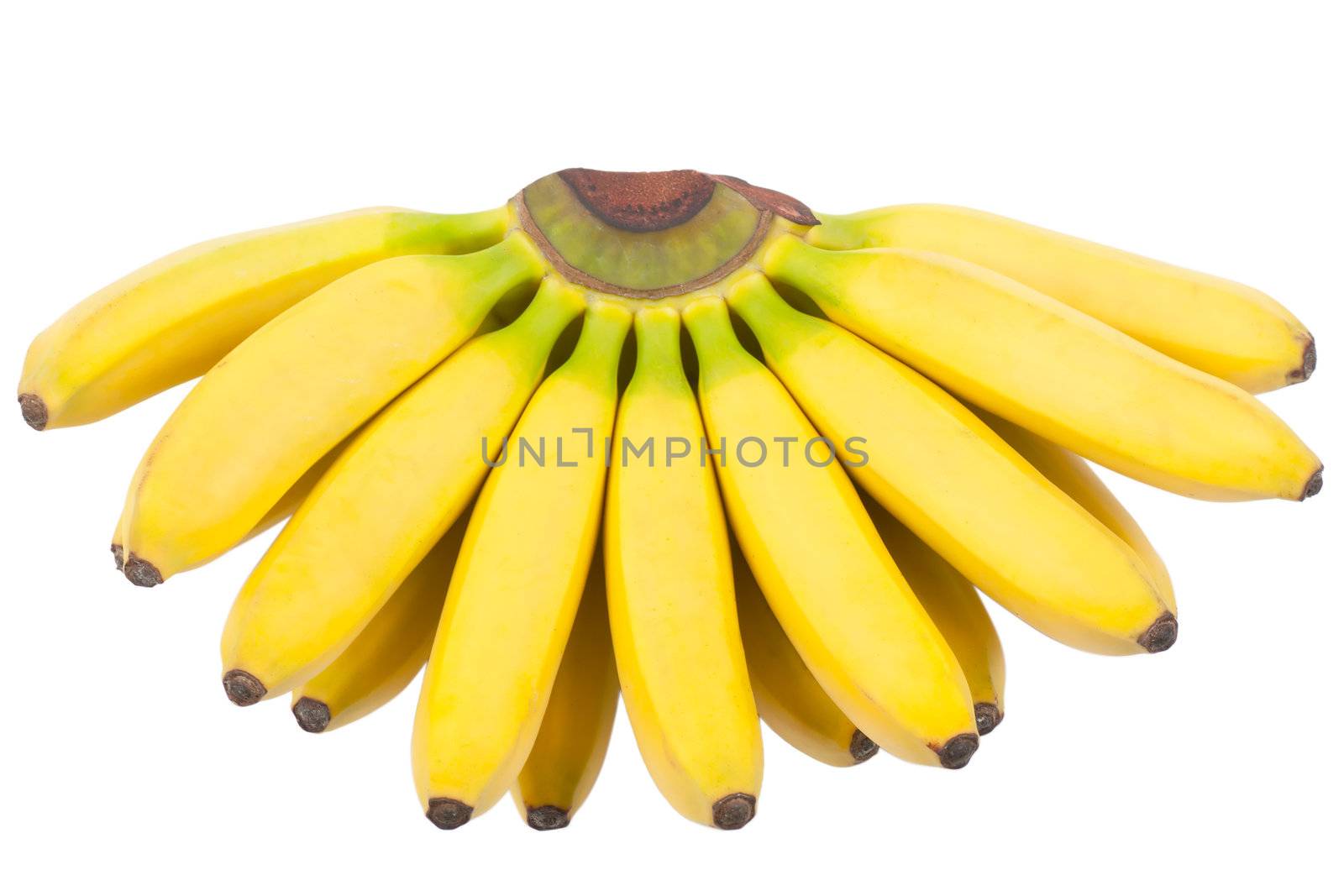 A bunch of bananas isolated over white background