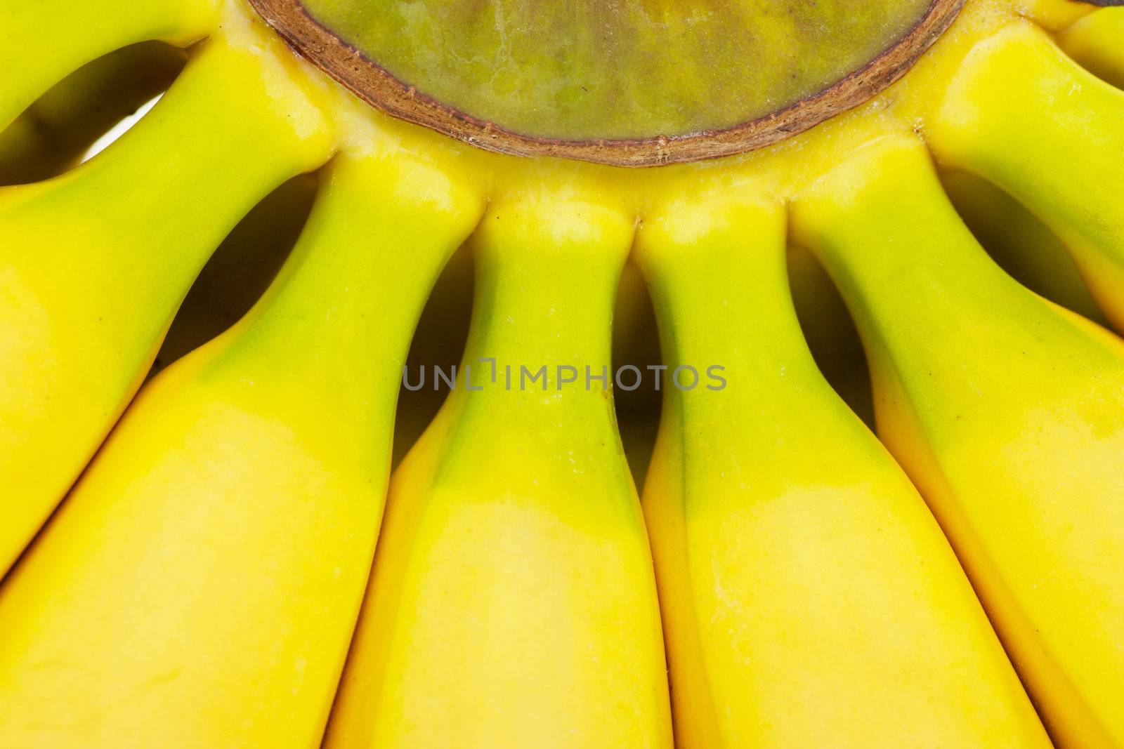 Bananas by AGorohov