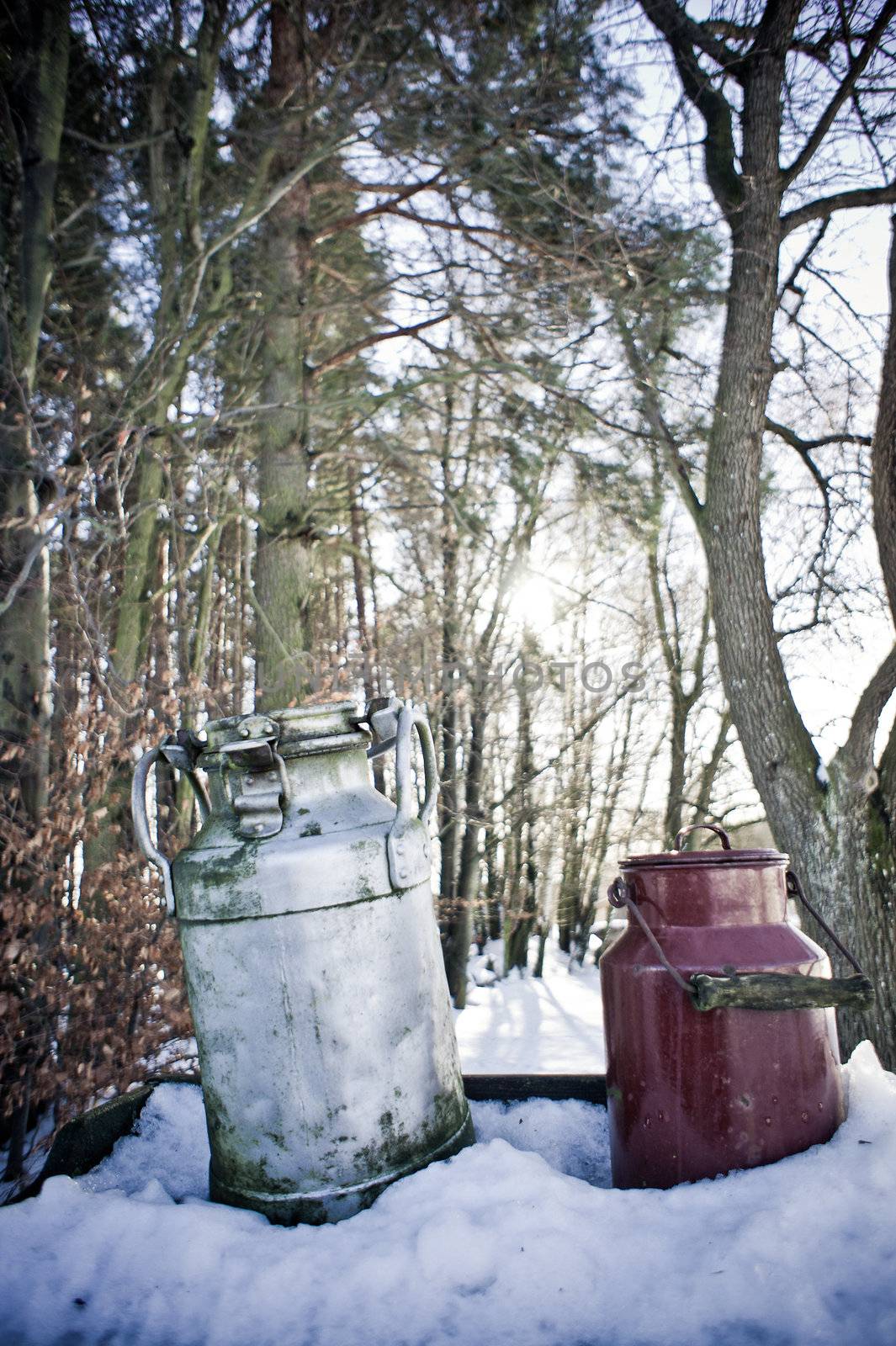 Nostalgic Milk Cans in Winter Landscape waiting for refill