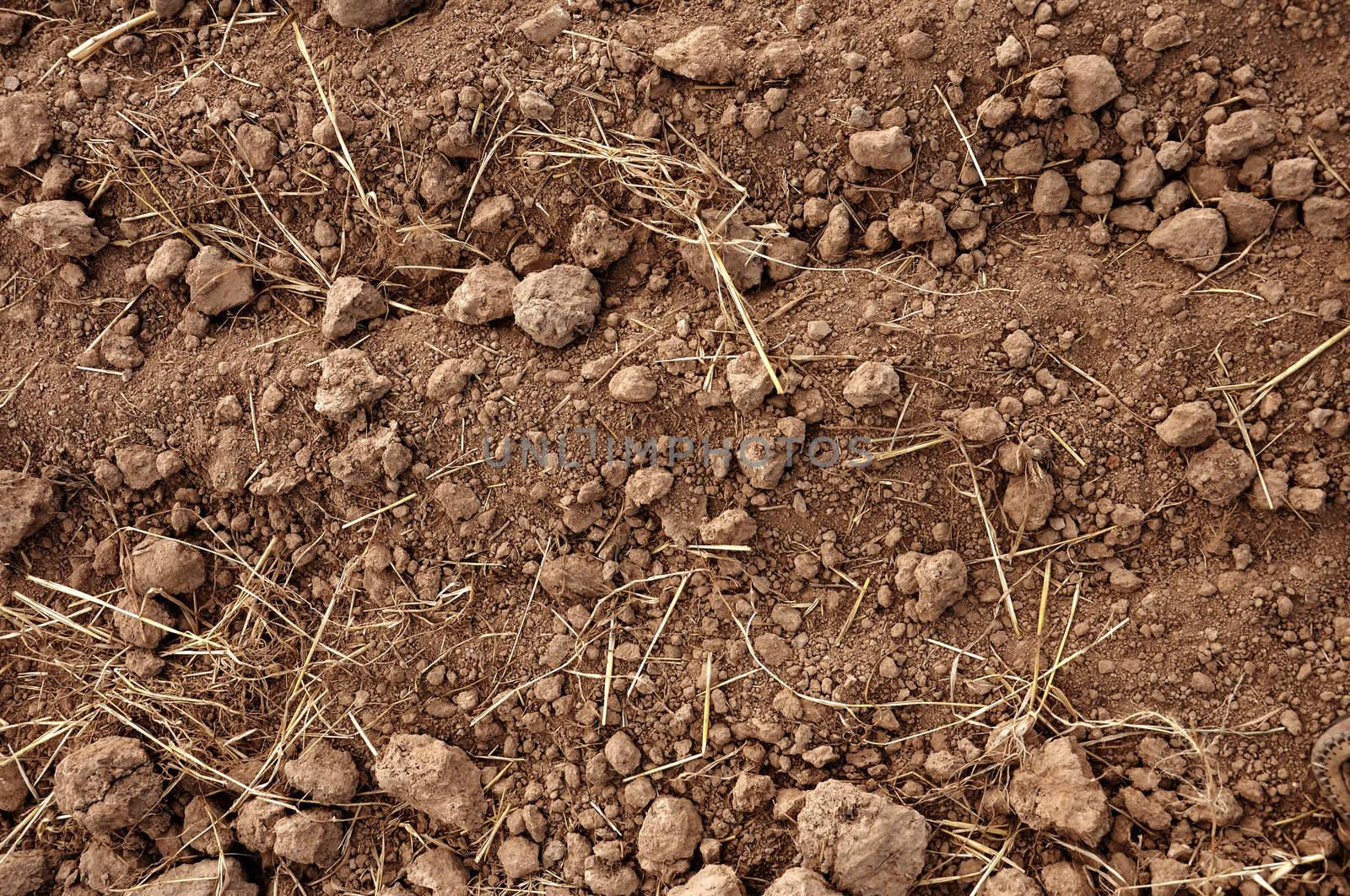 Brown soil of an agricultural field