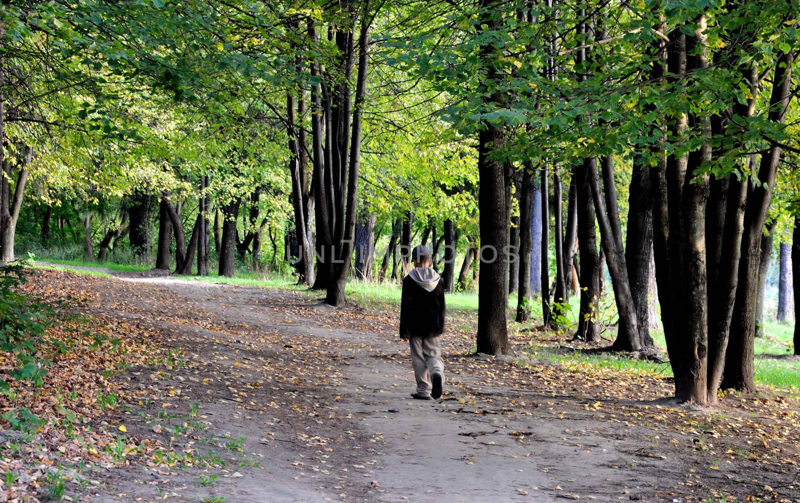 solitary boy walk in autumn forest park alone
