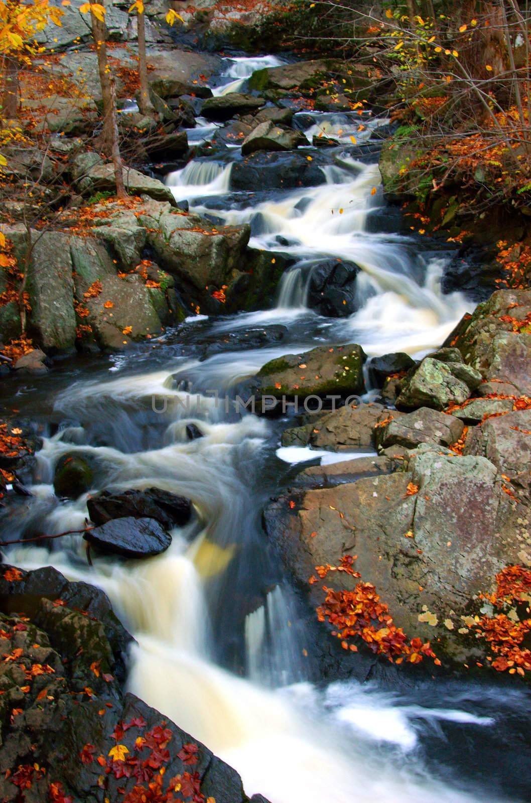 Water gushing thrui a beautiful stream during autumn