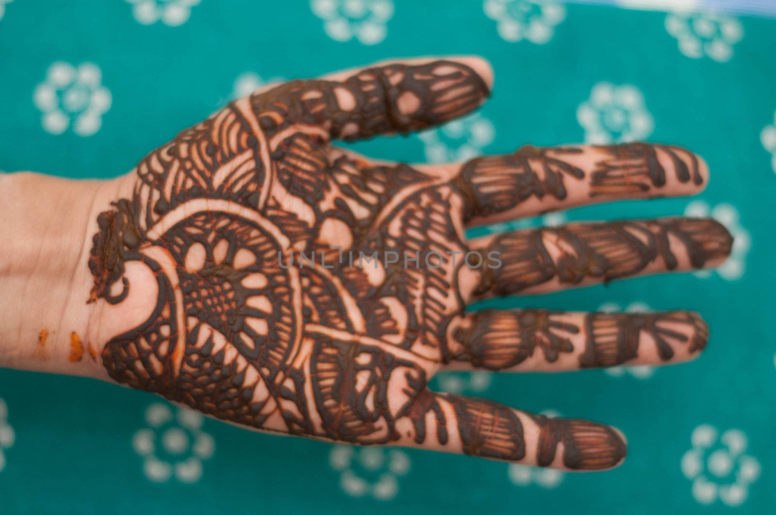 hands beautifully decorated with colorful herbs