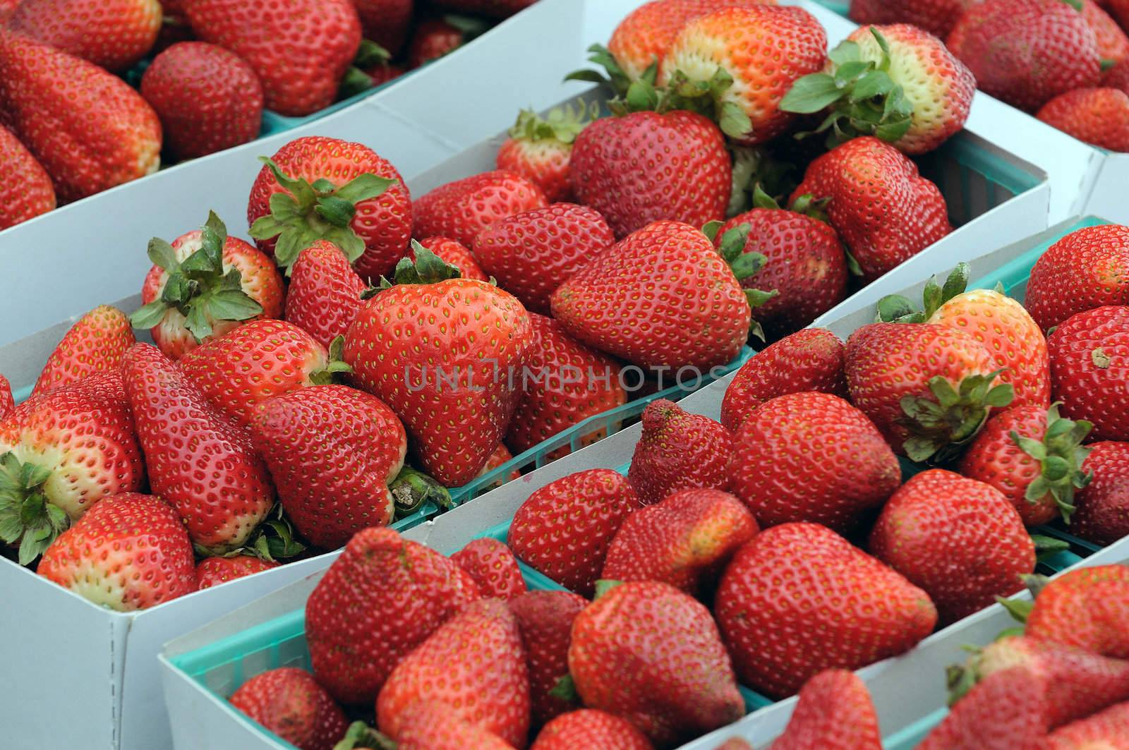 Freshly grown strawberries at a local market