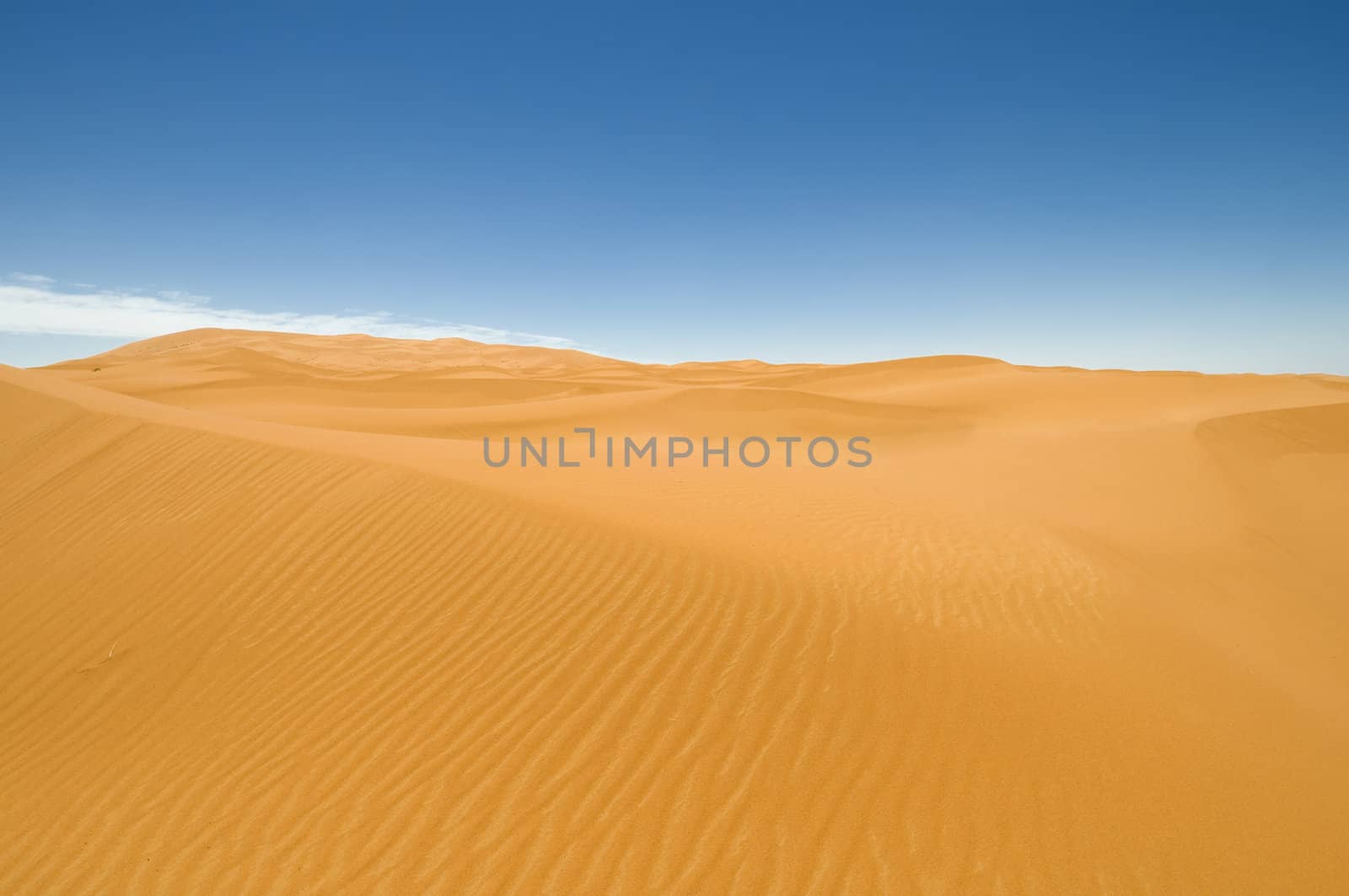 Erg Chebbi sand dunes - Sahara desert. Best of Morocco.