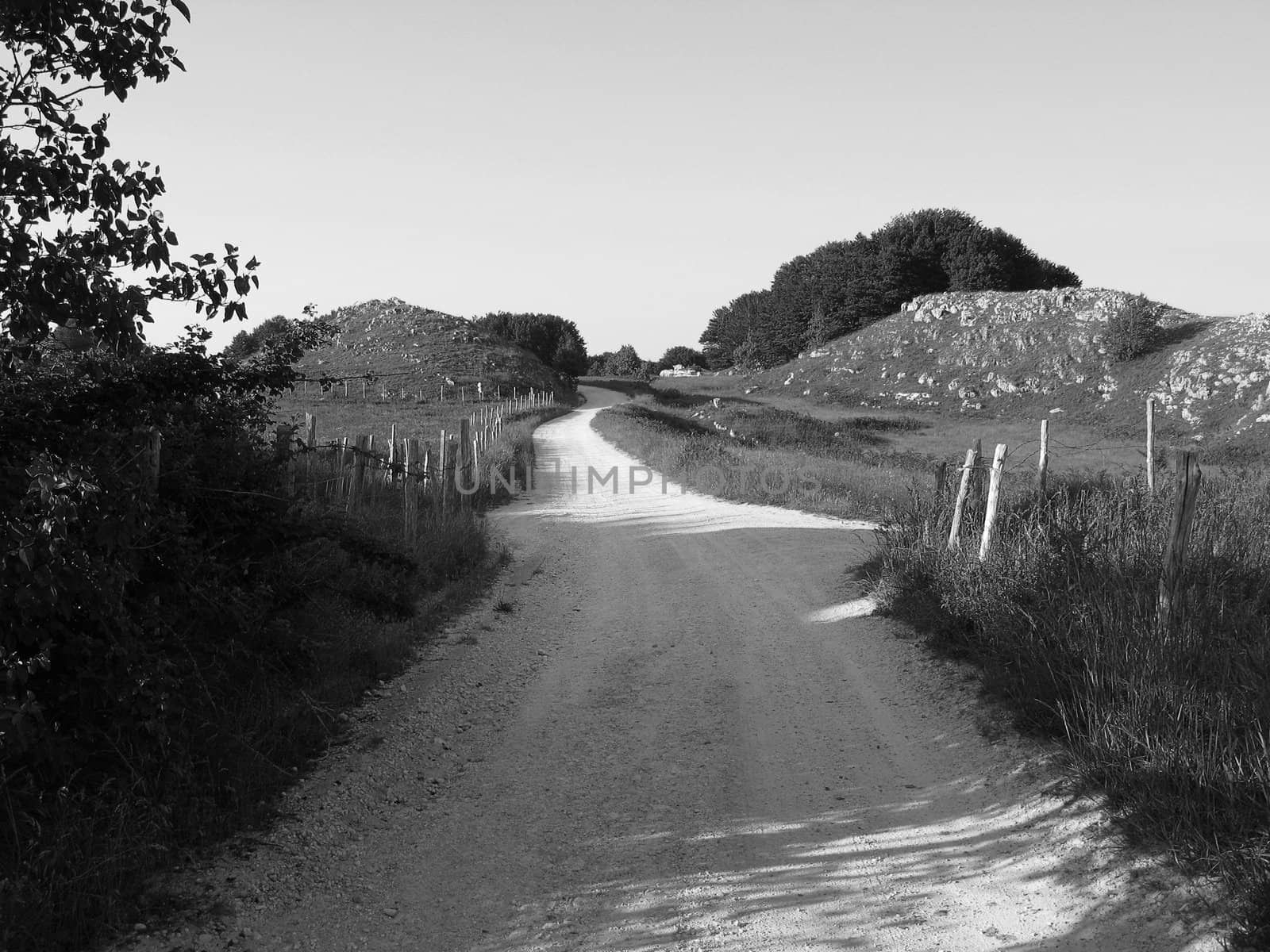 Country road in B/W