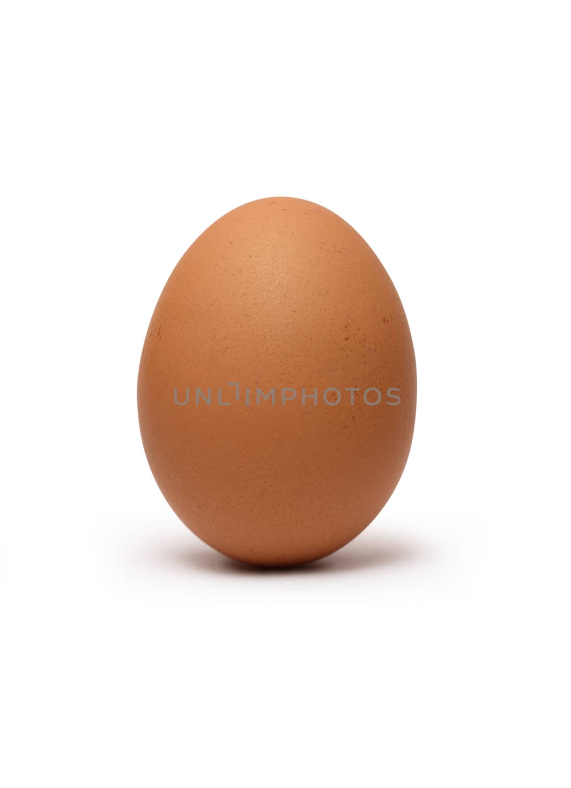Brown hen's egg isolated on white background with clipping path