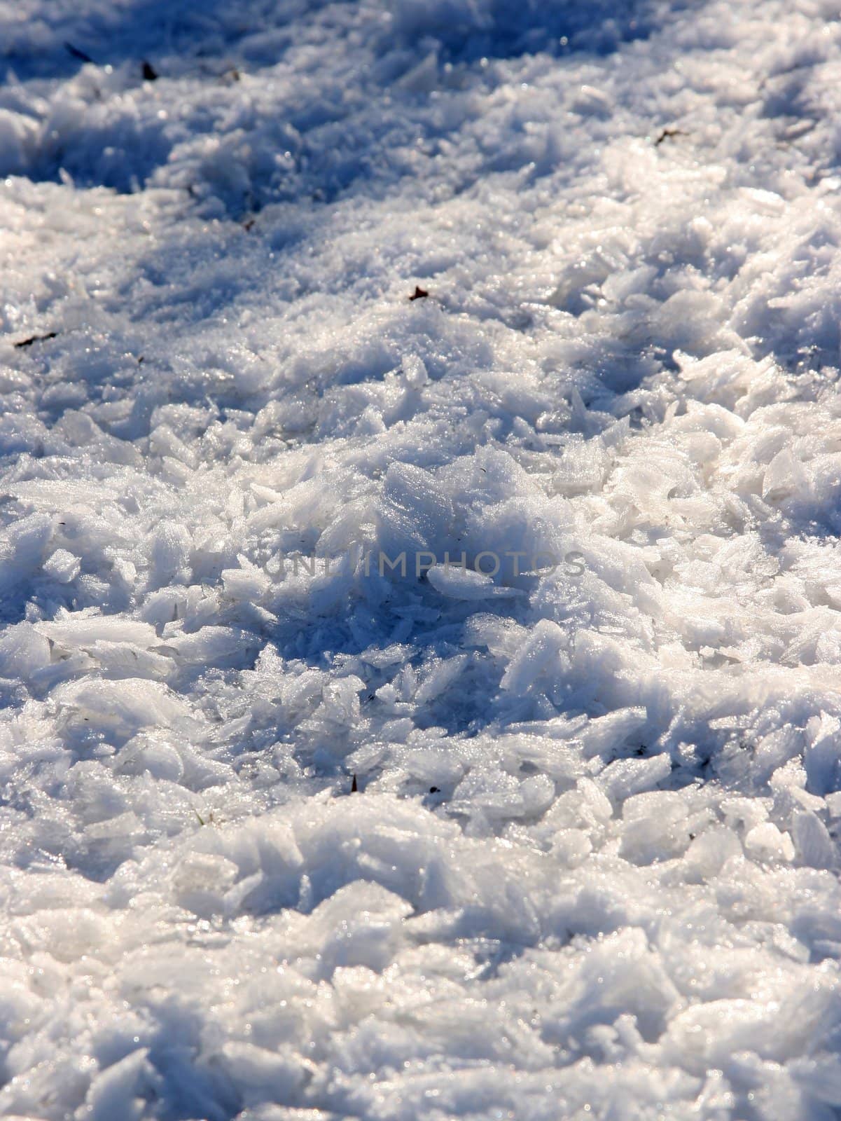 Pieces of ice covers the ground in winter