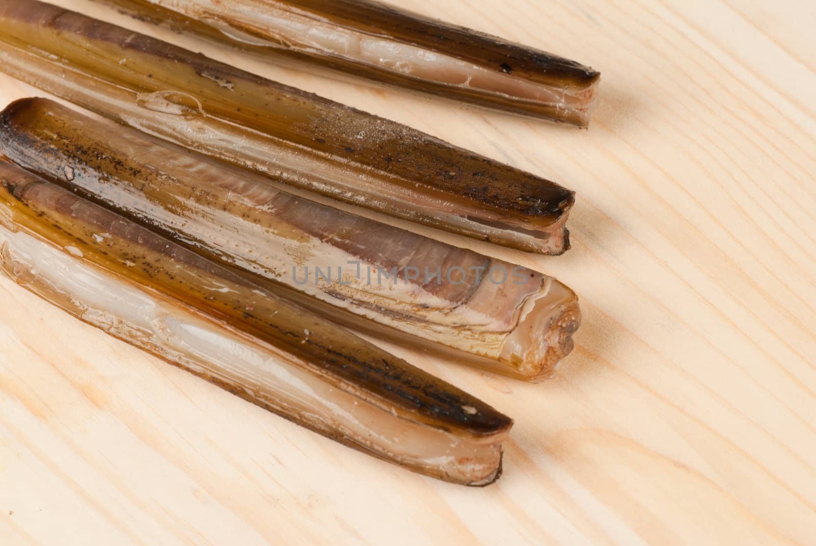 Fresh razor clams in their shell on a wooden board