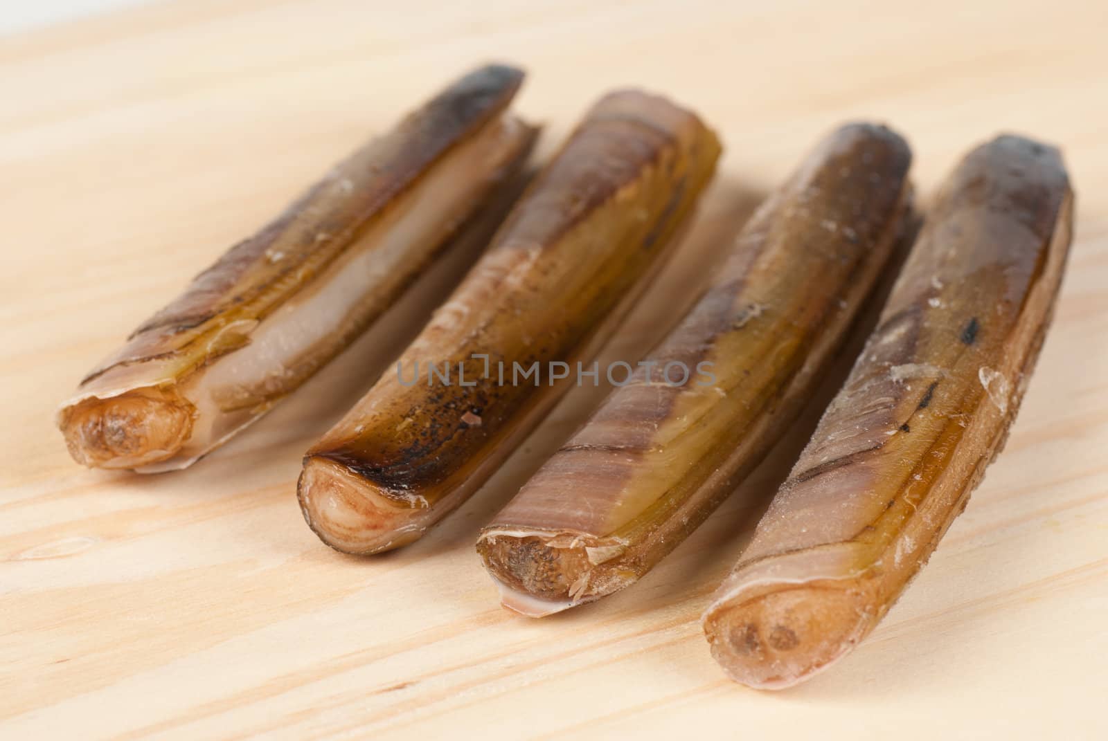 Fresh razor clams in their shell on a wooden board