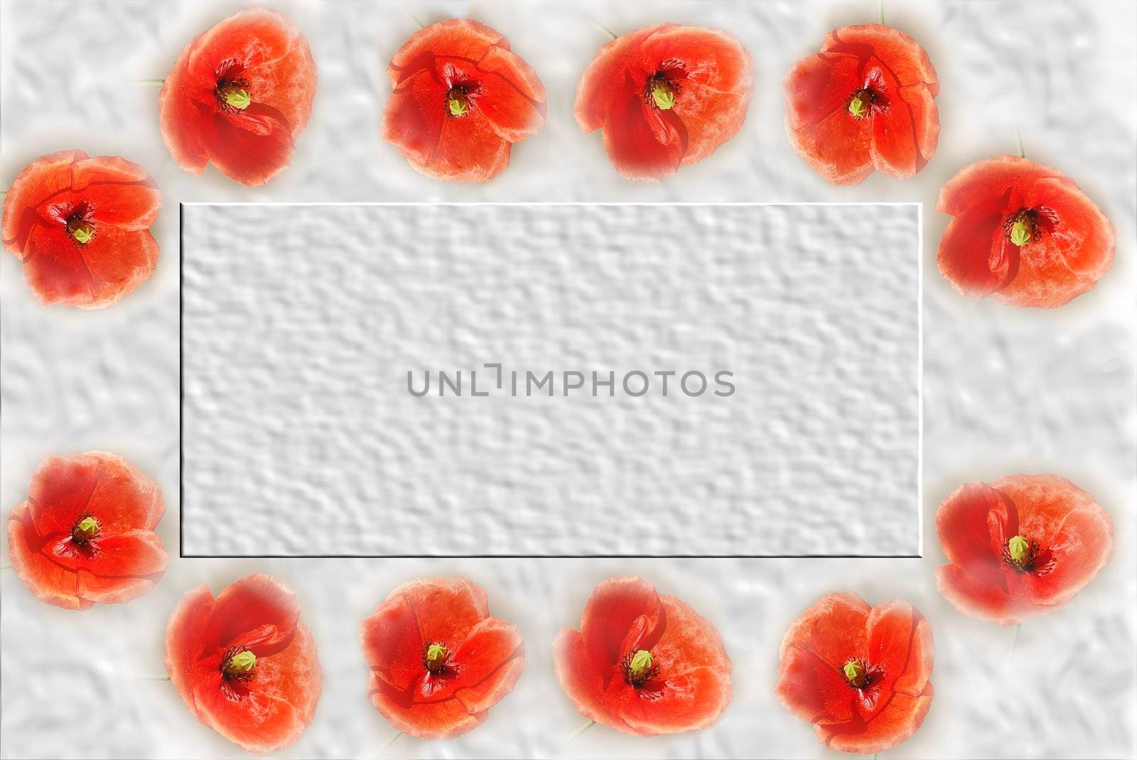 Background frame with red poppy on textured paper.