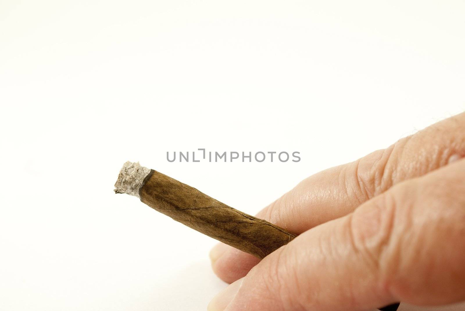 hand cigar by lauria
