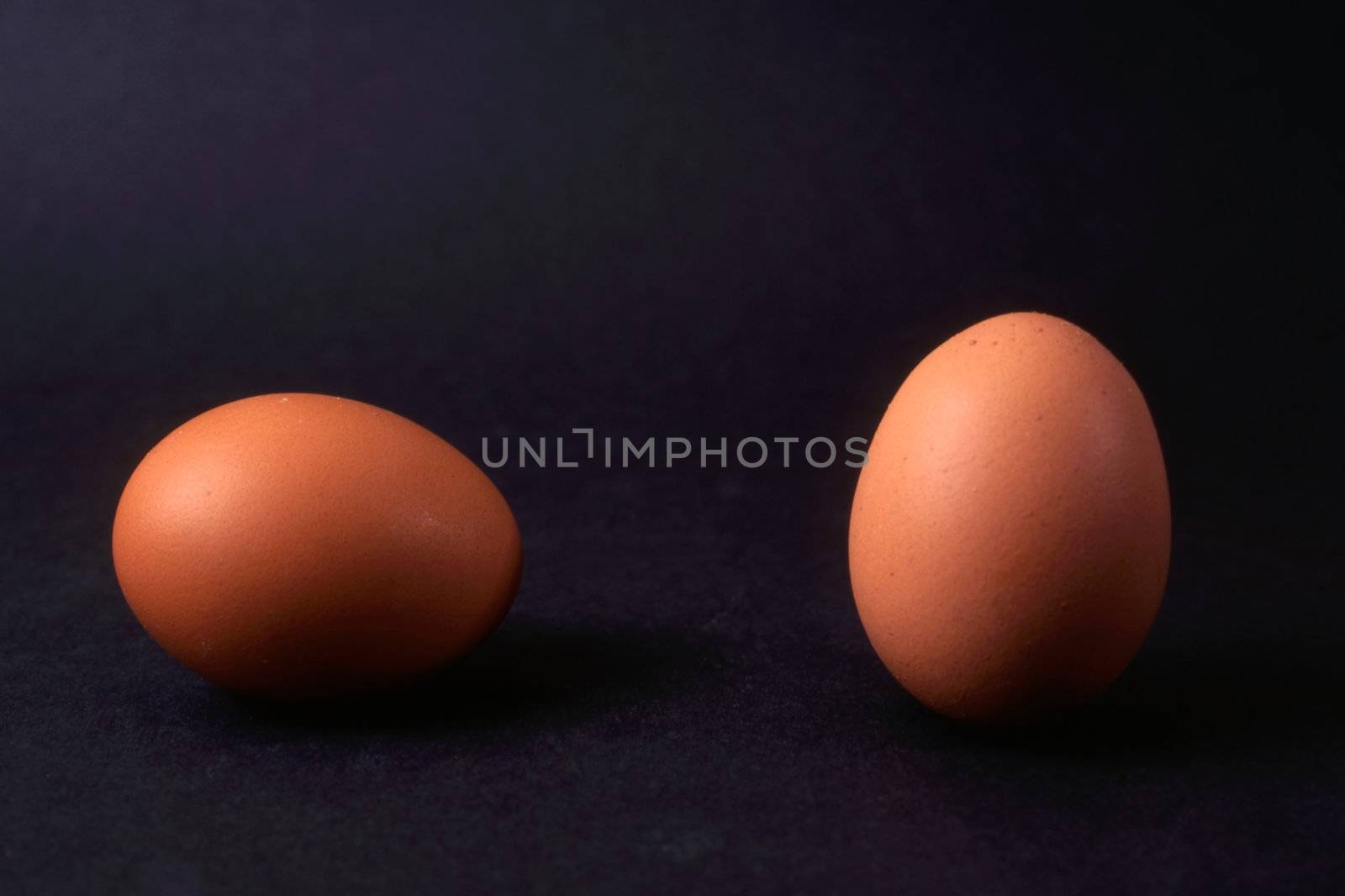 Two eggs isolated on black background