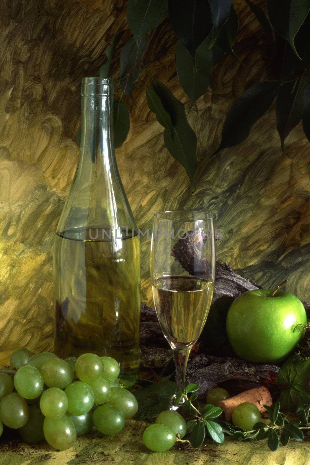 White wine and fruits isolated on painted background