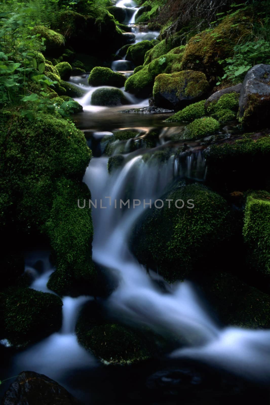 Beautiful mountain stream with green moss and rocks