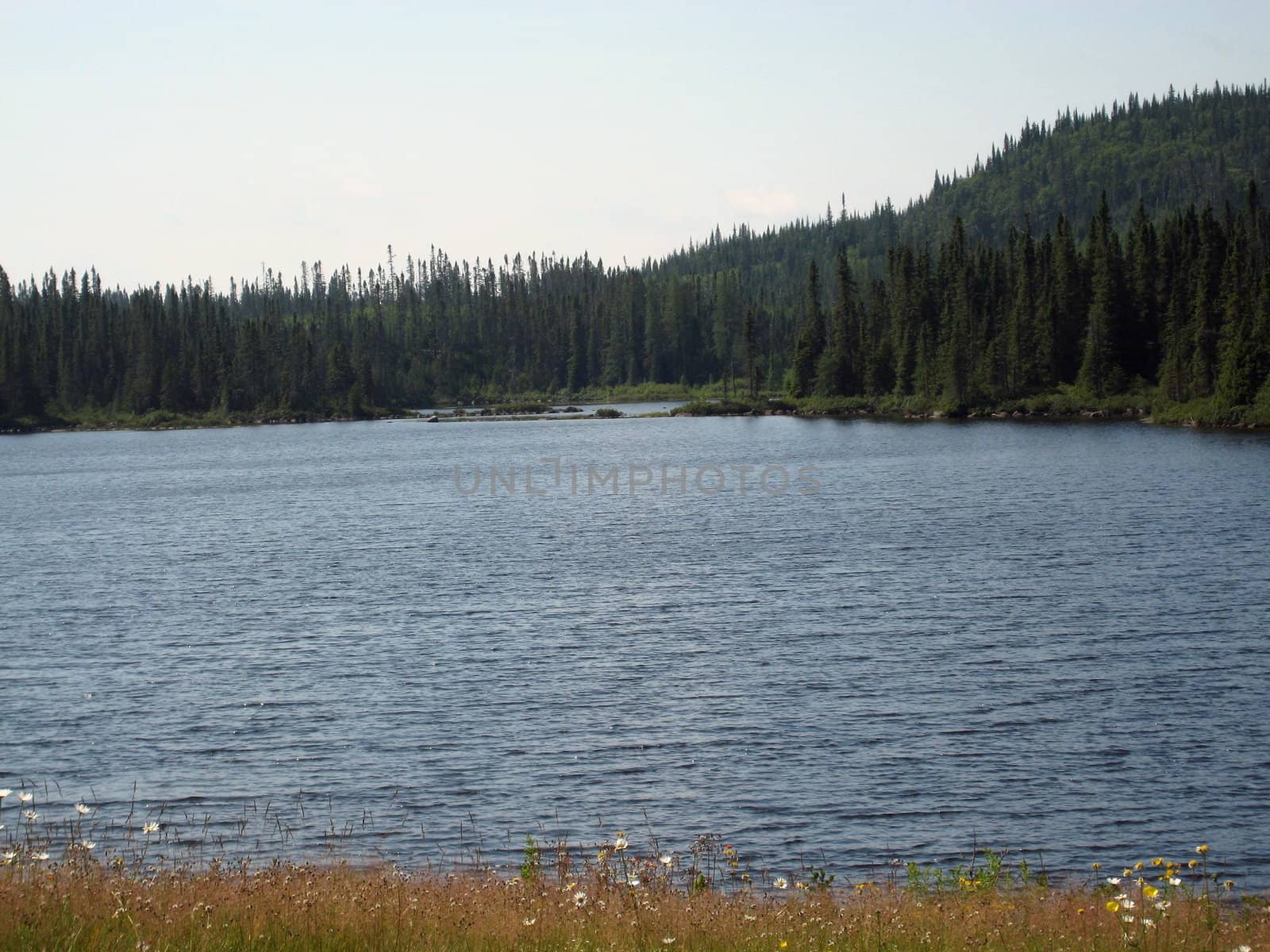 Lake view in Mauricie, Quebec