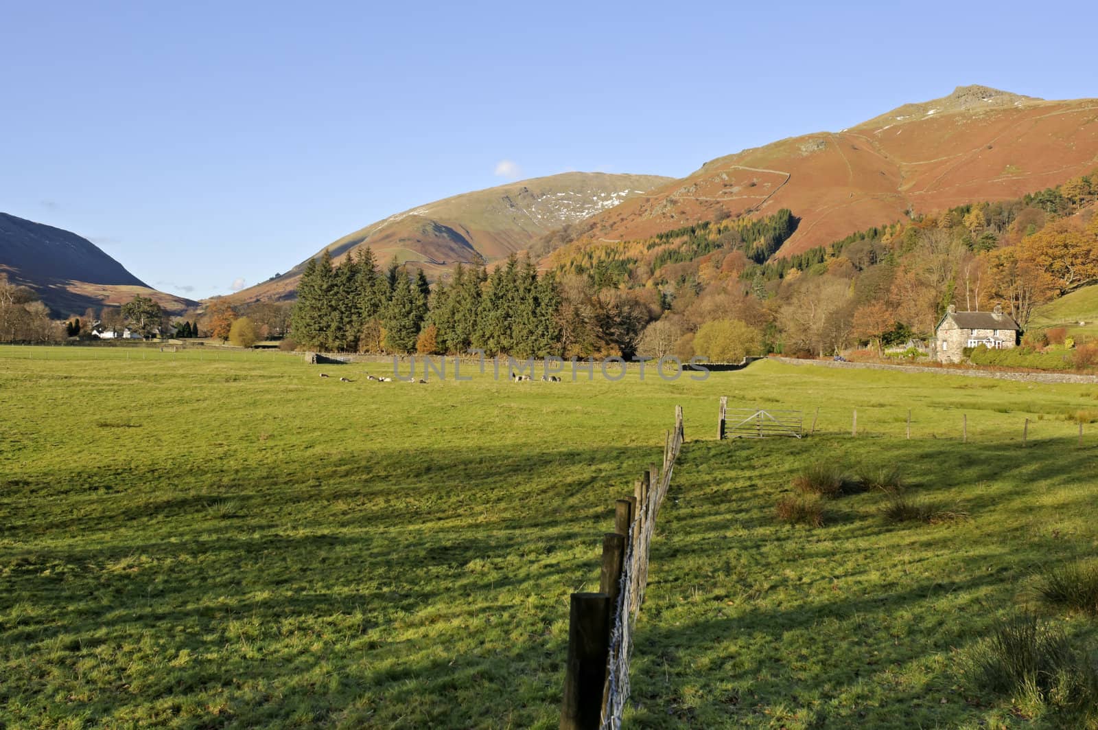 Great Rigg from Grasmere Lake District National Park Cumbria England