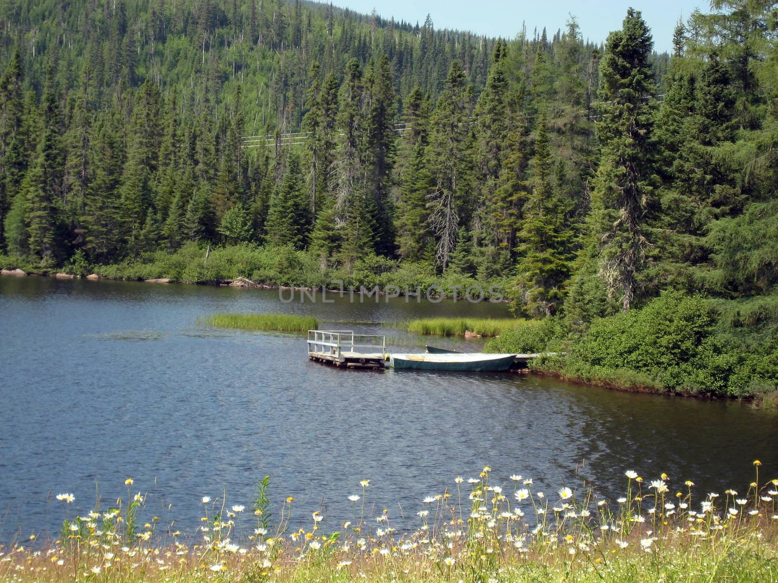 Lake view in Mauricie, Quebec