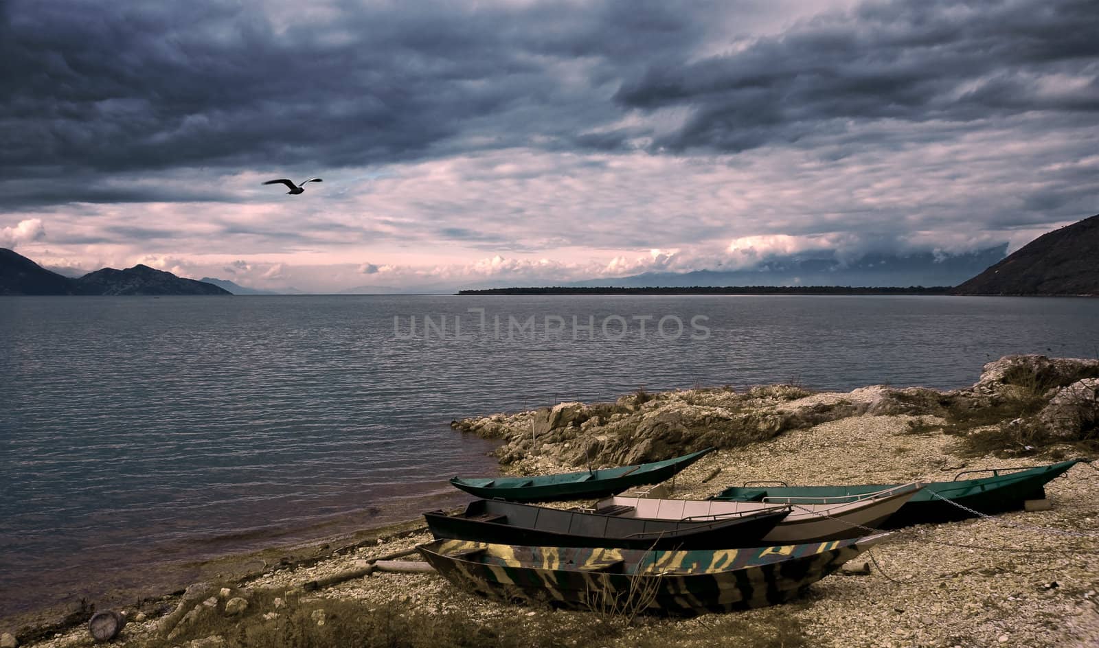 waterscape with boats, flying bird and dramatic sky. selectively rendered.