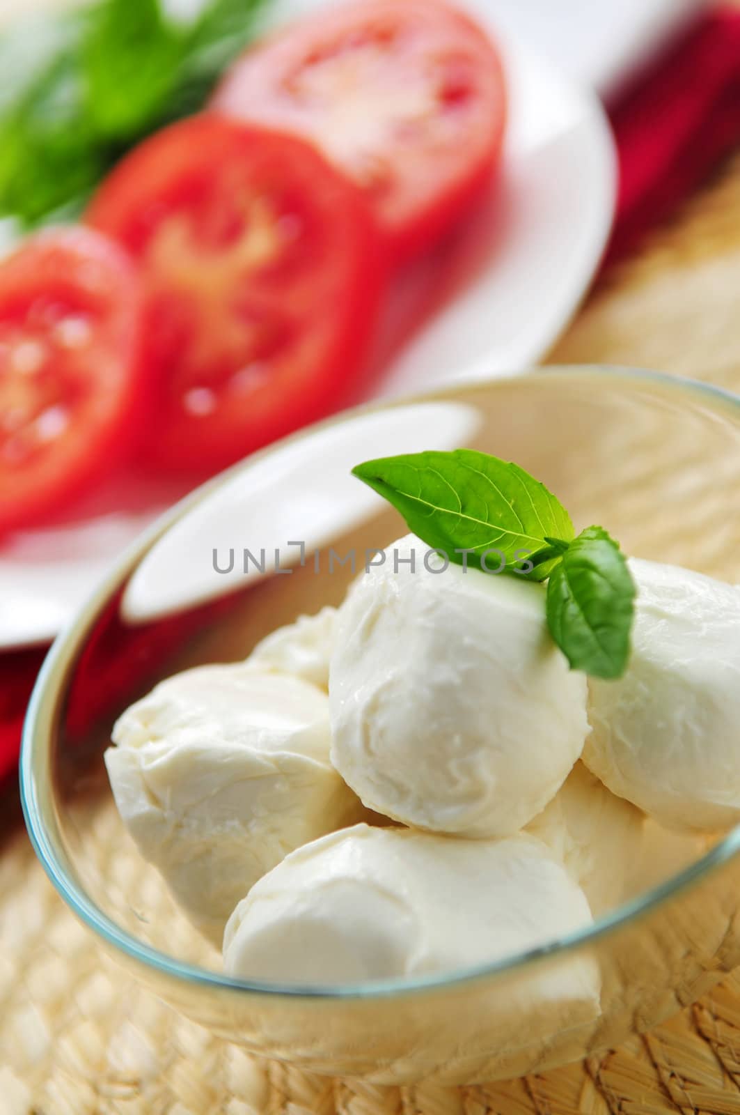 Bocconcini cheese, basil and sliced tomatoes - ingredients of traditional italian cuisine