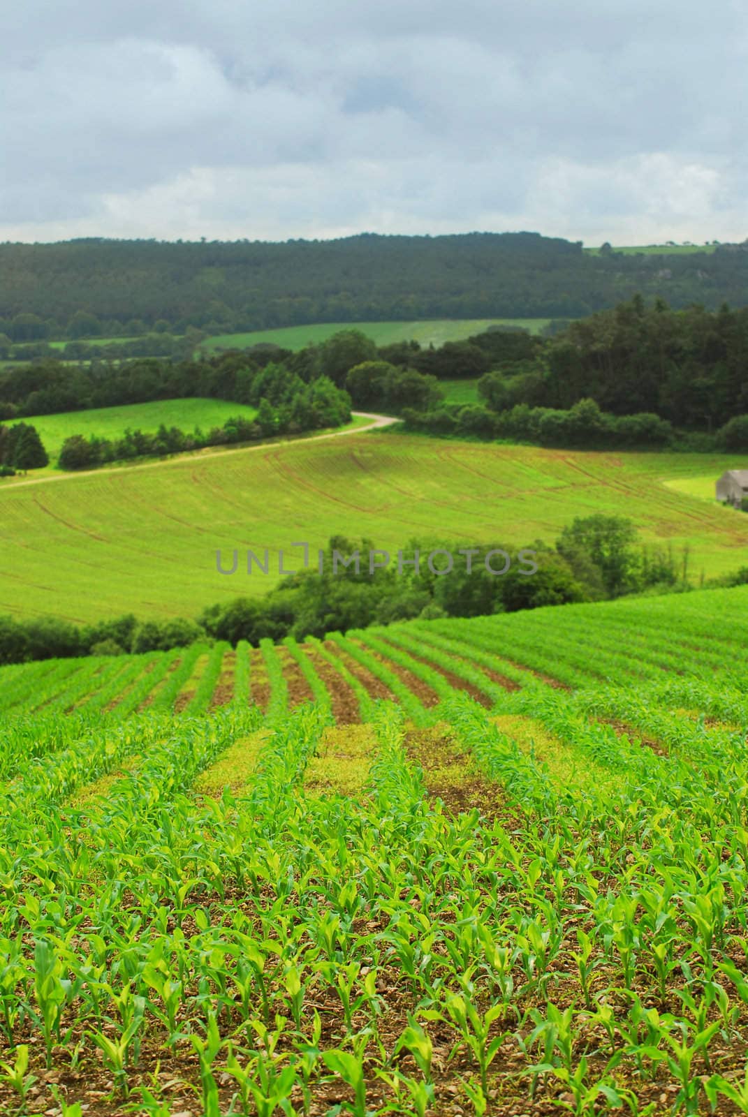 Scenic view on agricultural landscape in rural Brittany, France.