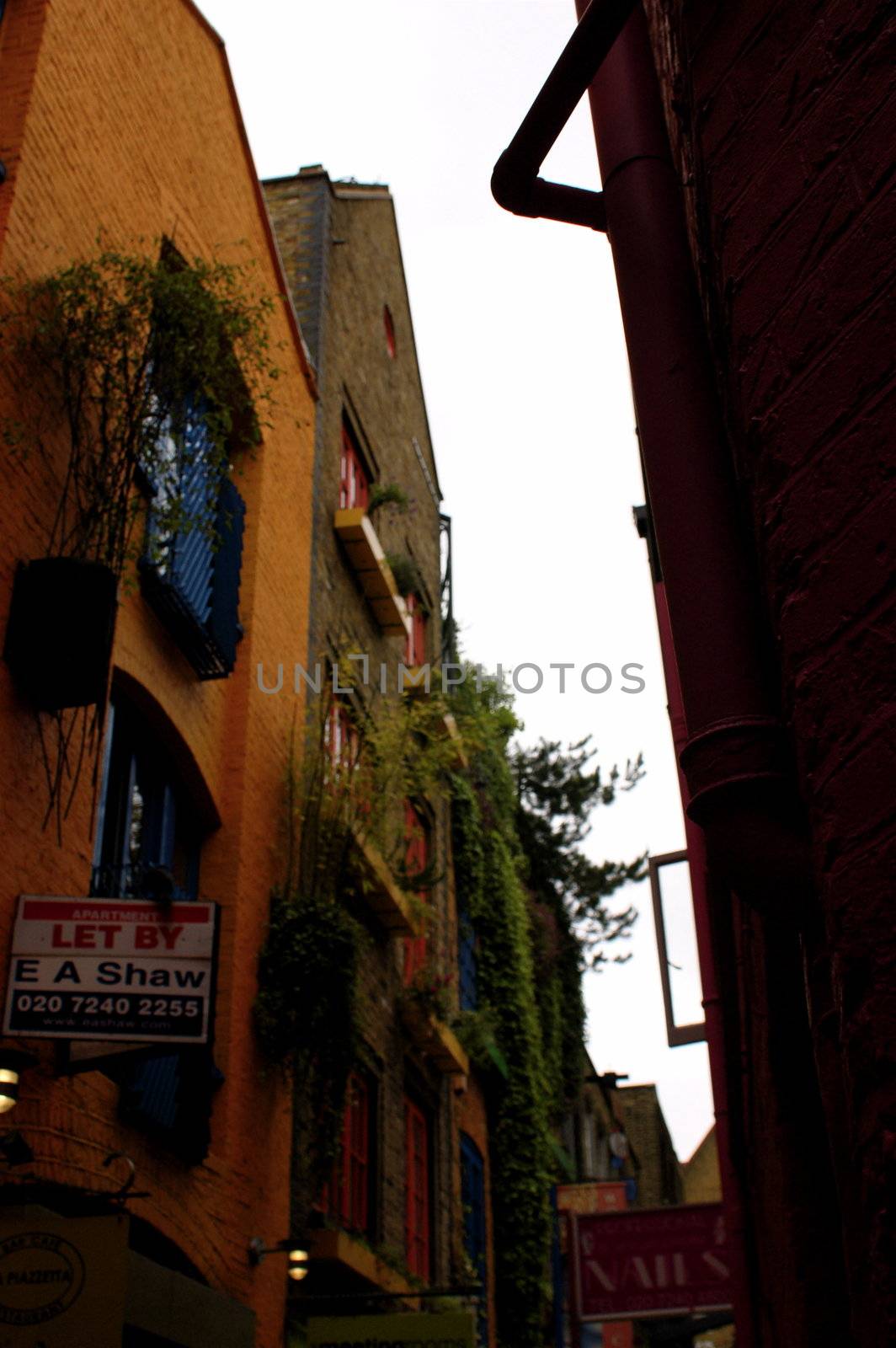 Colourful buildings in Neal's Yard in London's Covent Garden with an almost Dickensian feel.