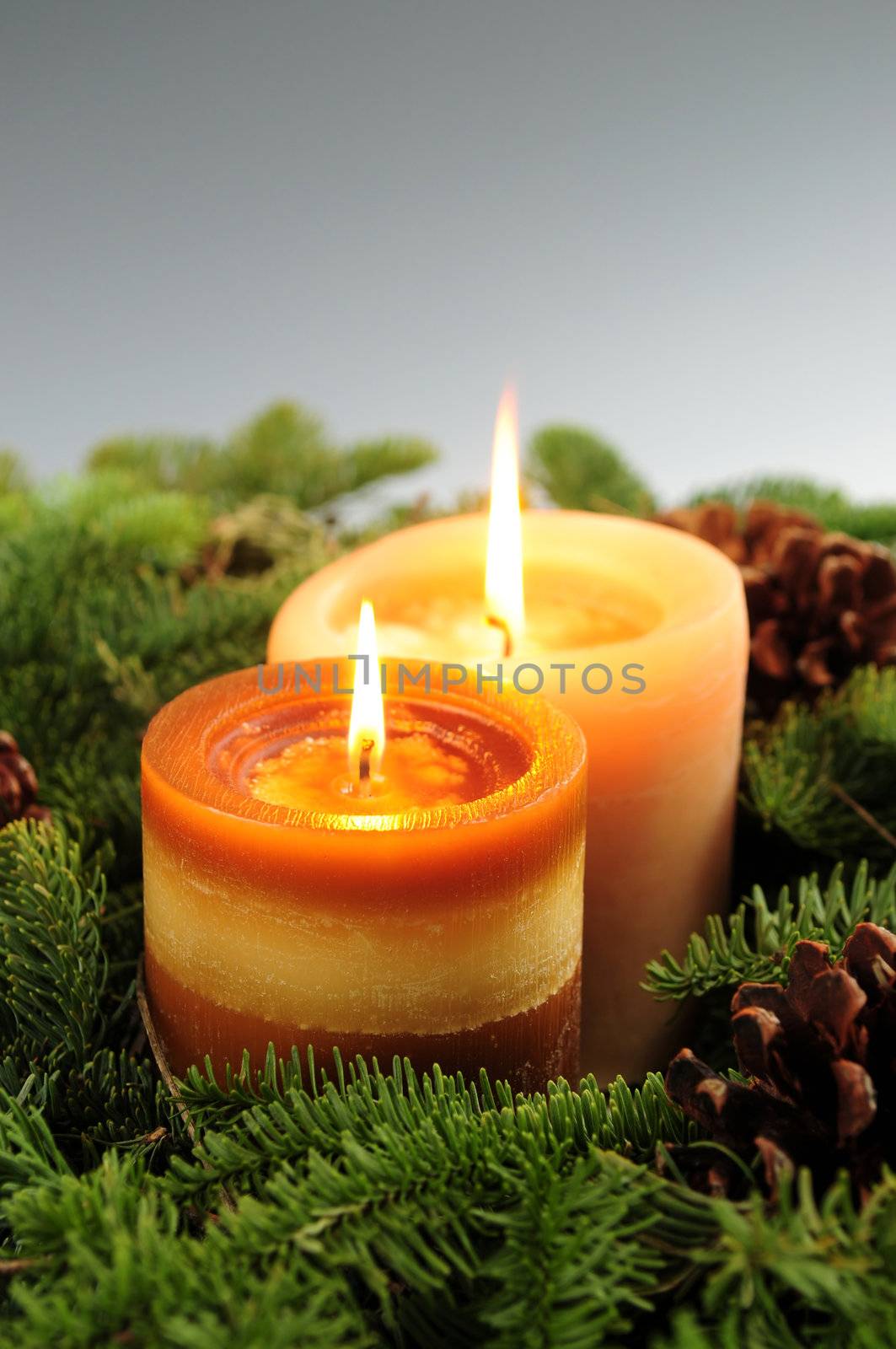Arrangement of burning Christmas candles and green spruce branches 