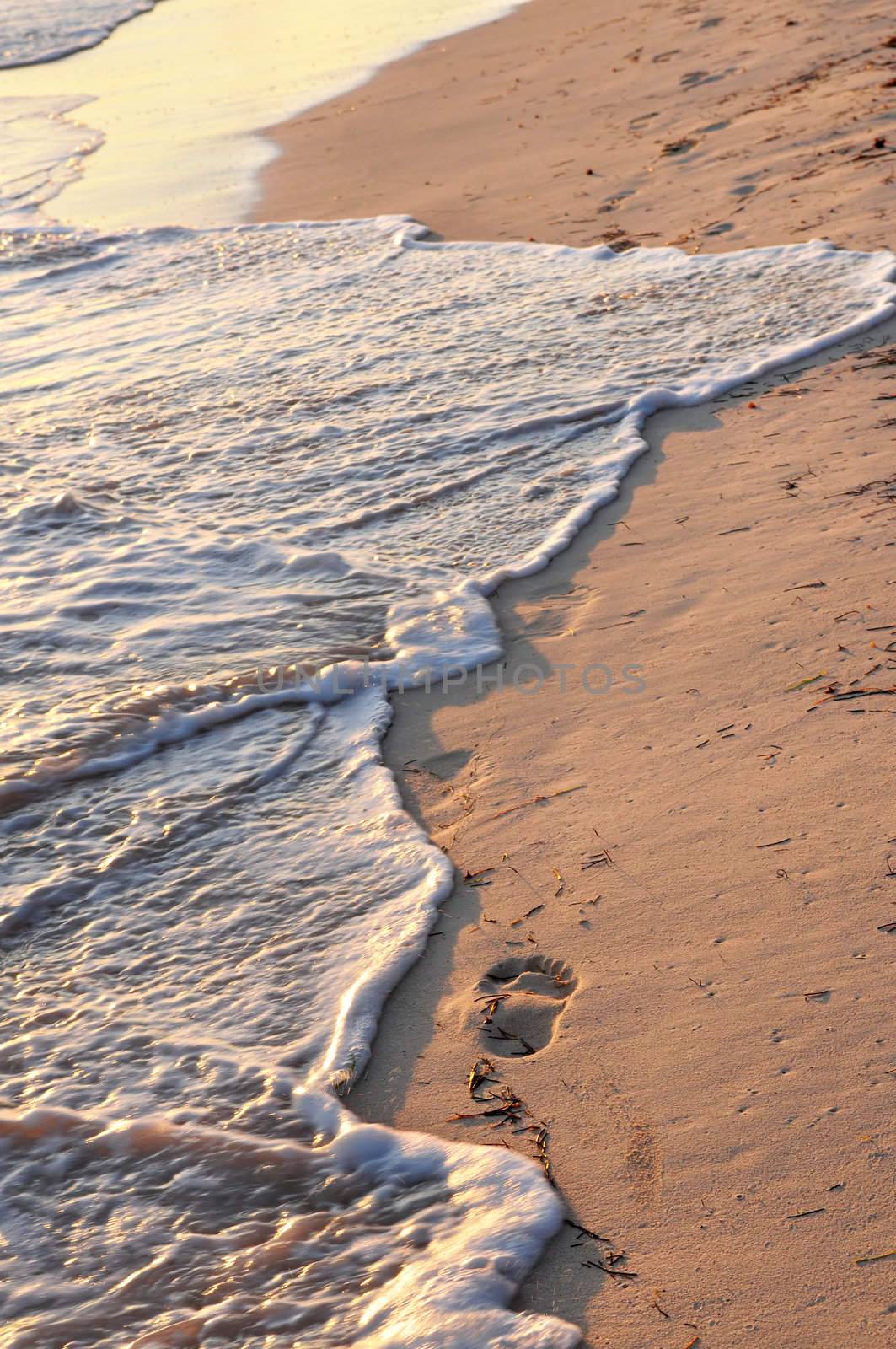 Tropical sandy beach with footprints and ocean wave