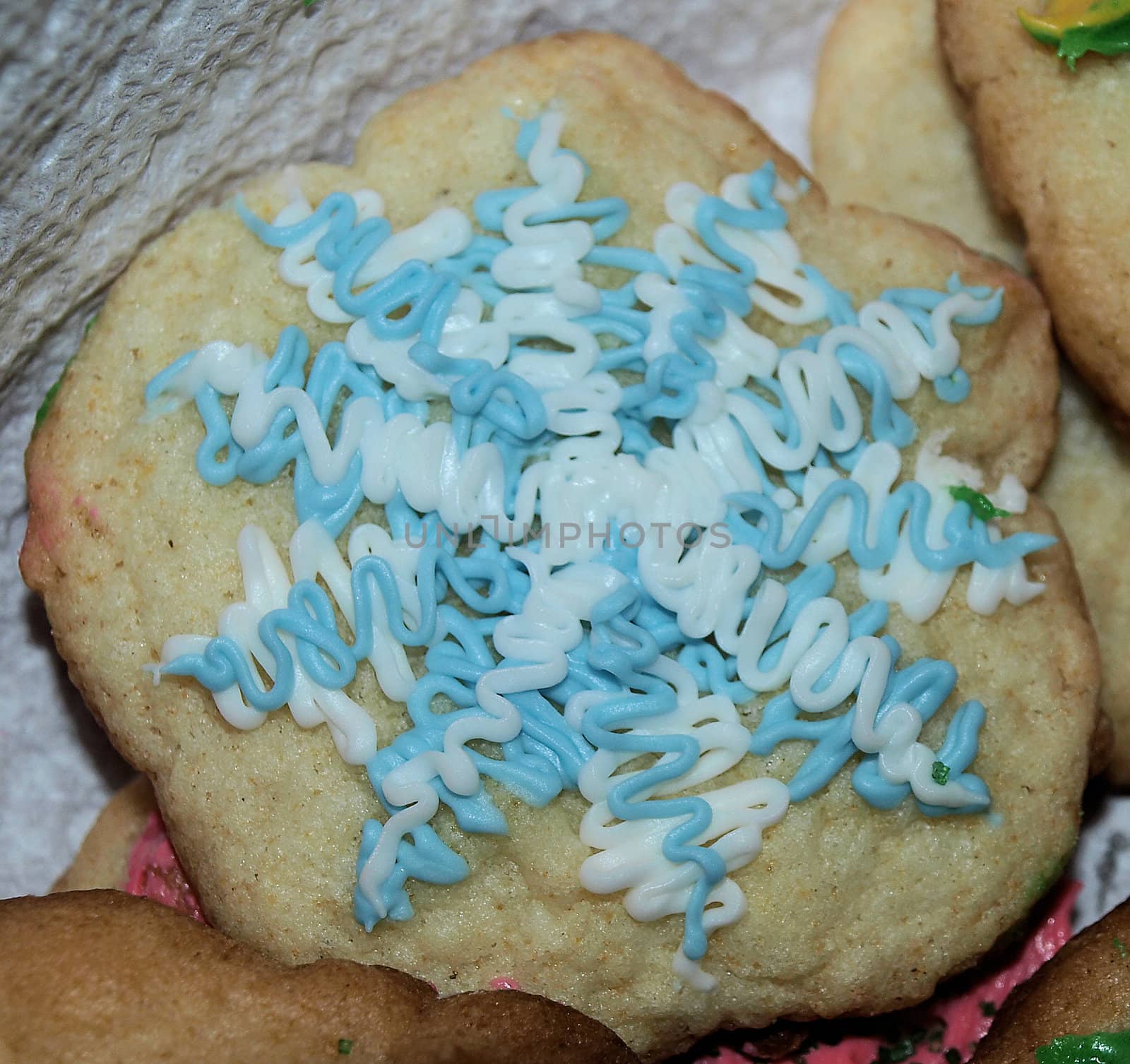 A plate of decorated christmas cookies