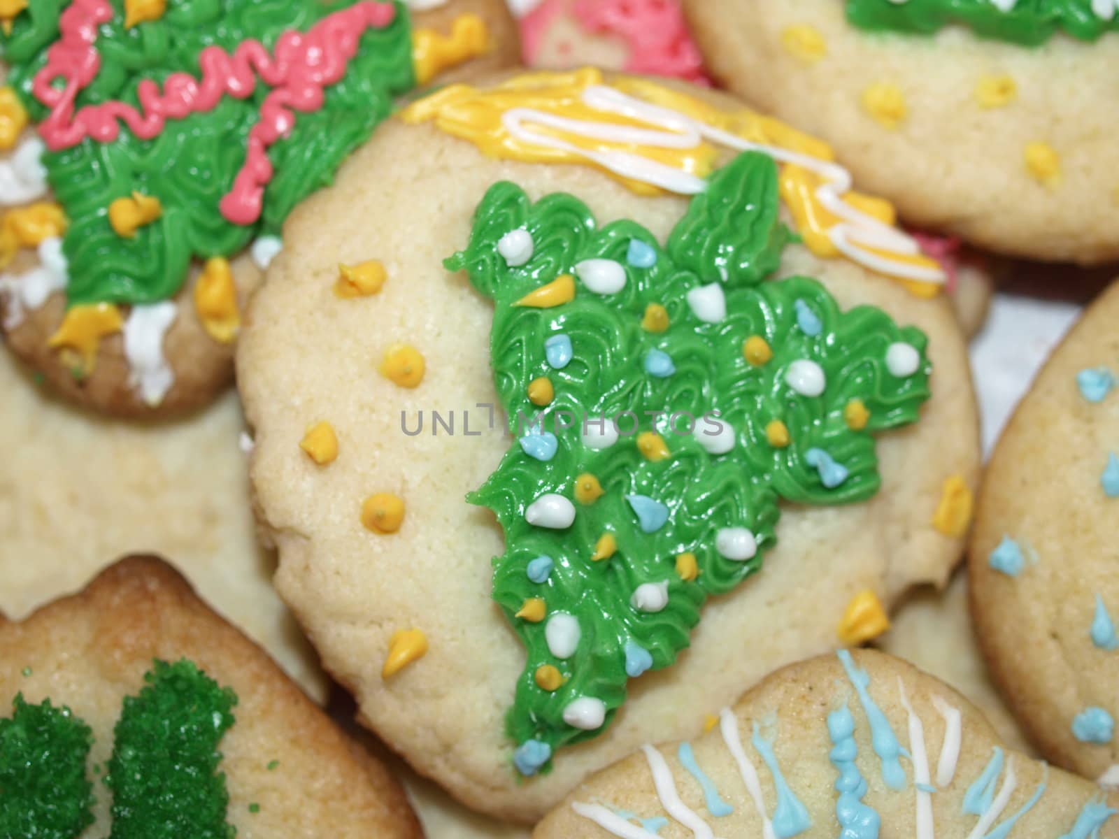 A plate of decorated christmas cookies