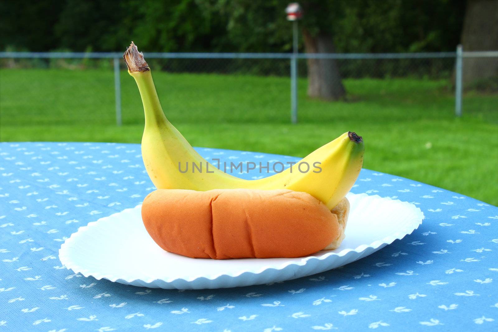 Summer special: Banana-dog in a bun.