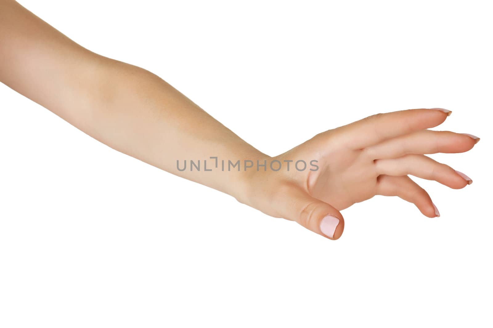 Woman's hand stretched horizontally on a white background