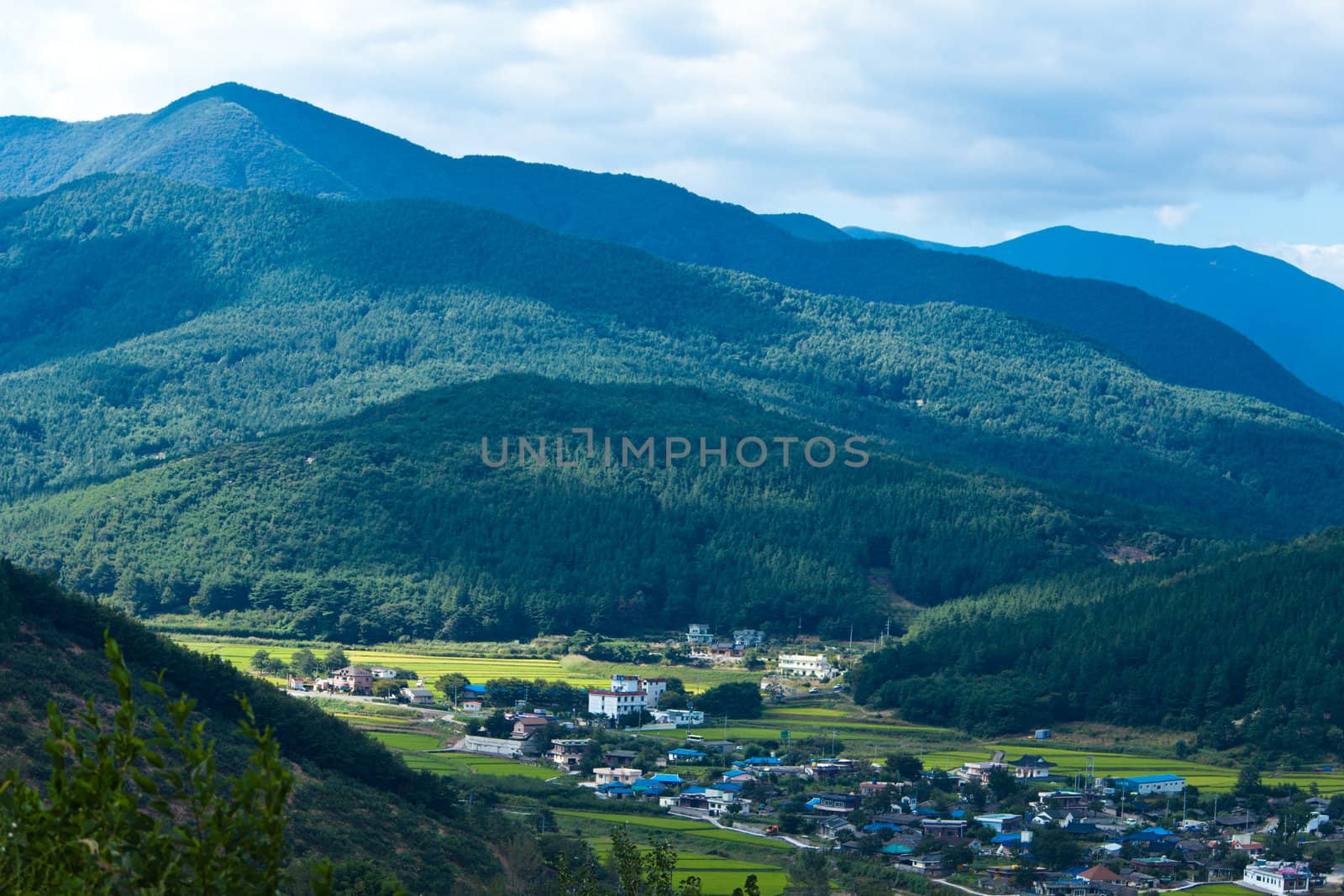 landschaft