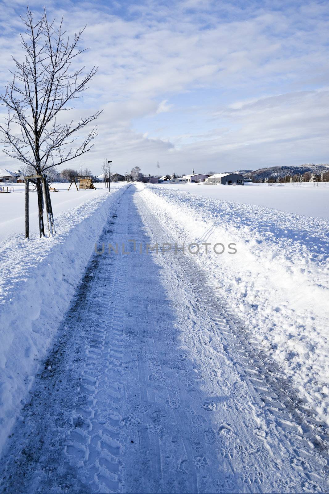 winter scenery by magann